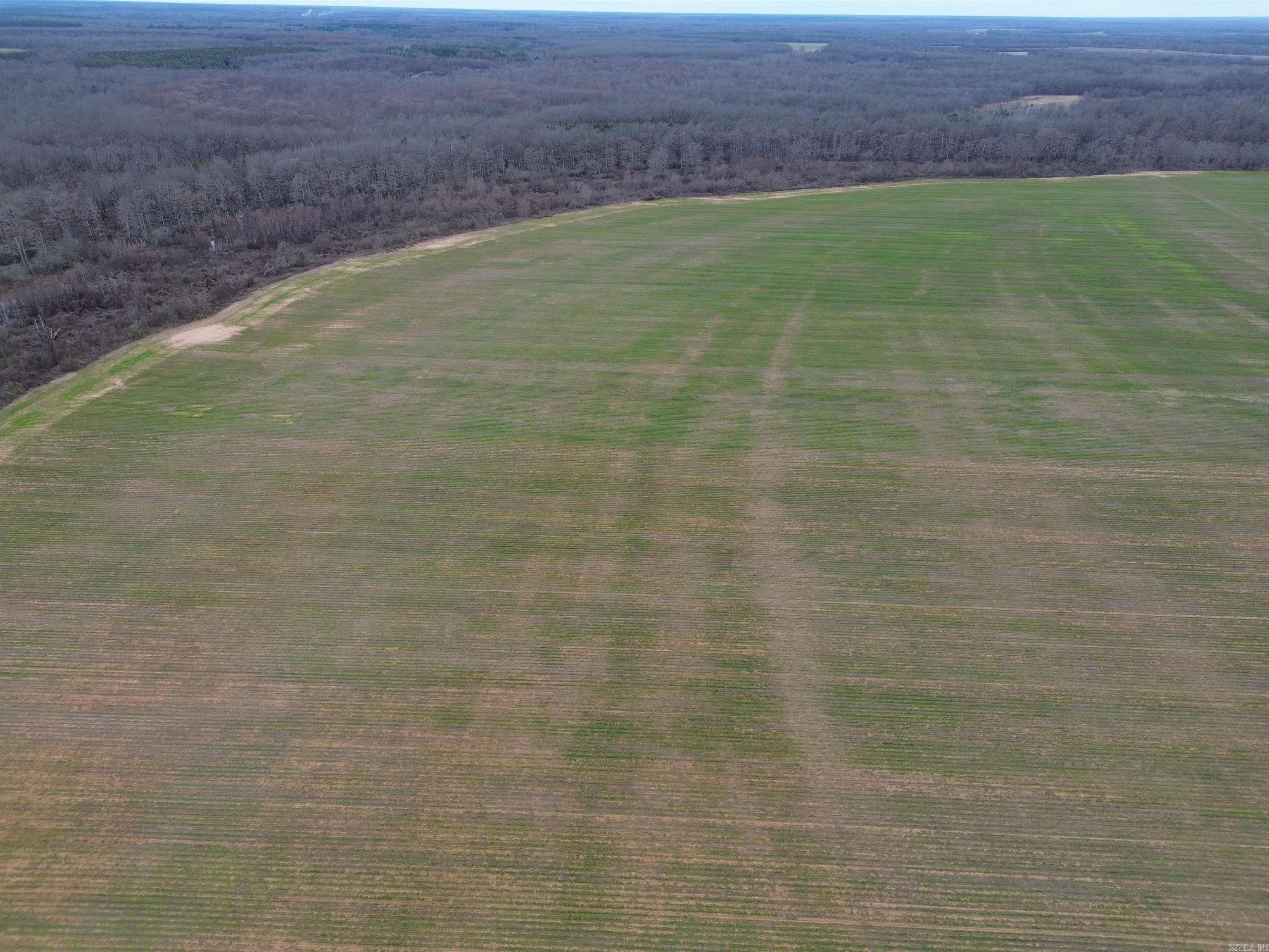 6000 Hwy 425 Property Photo 5