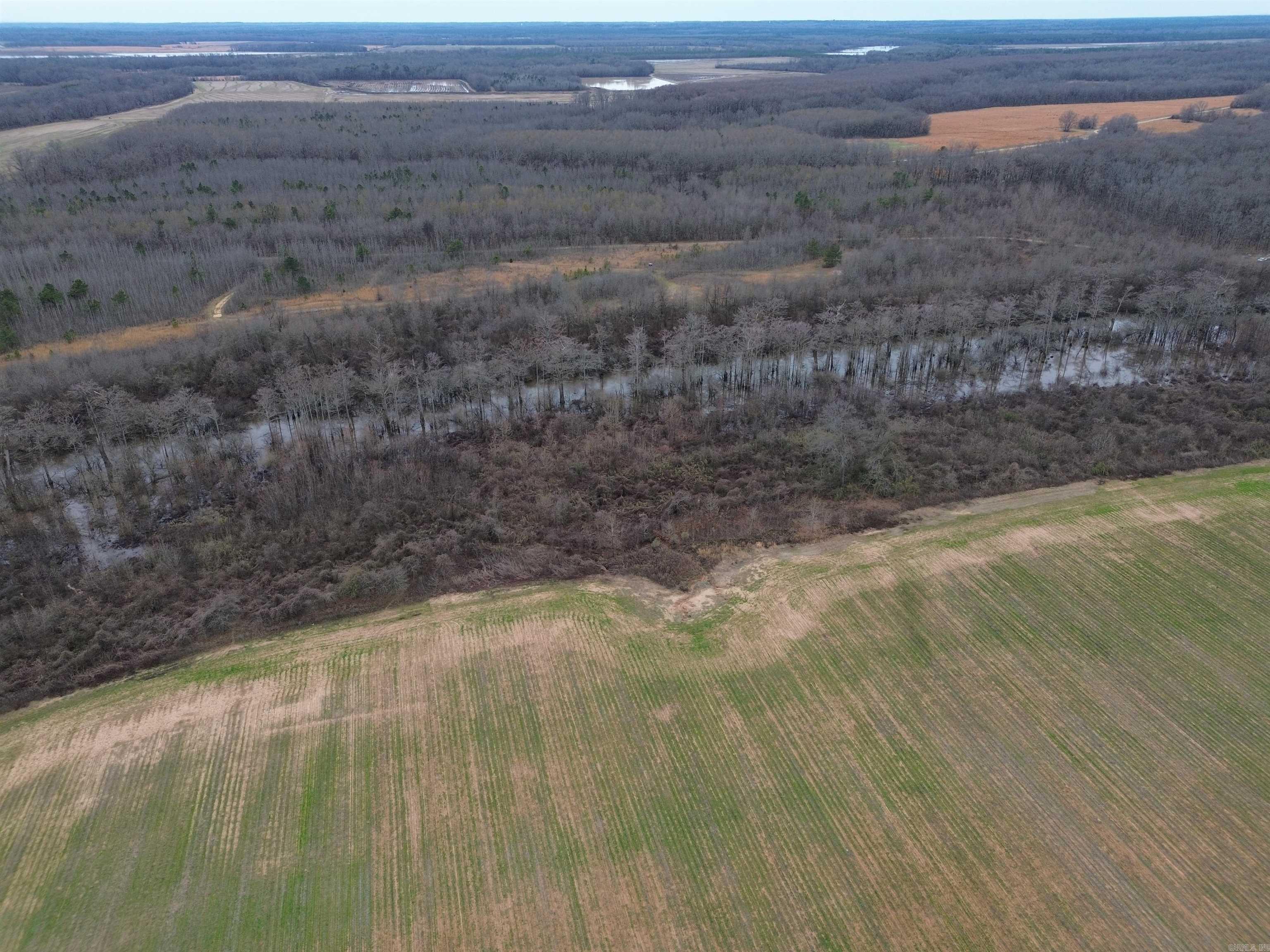 6000 Hwy 425 Property Photo 6