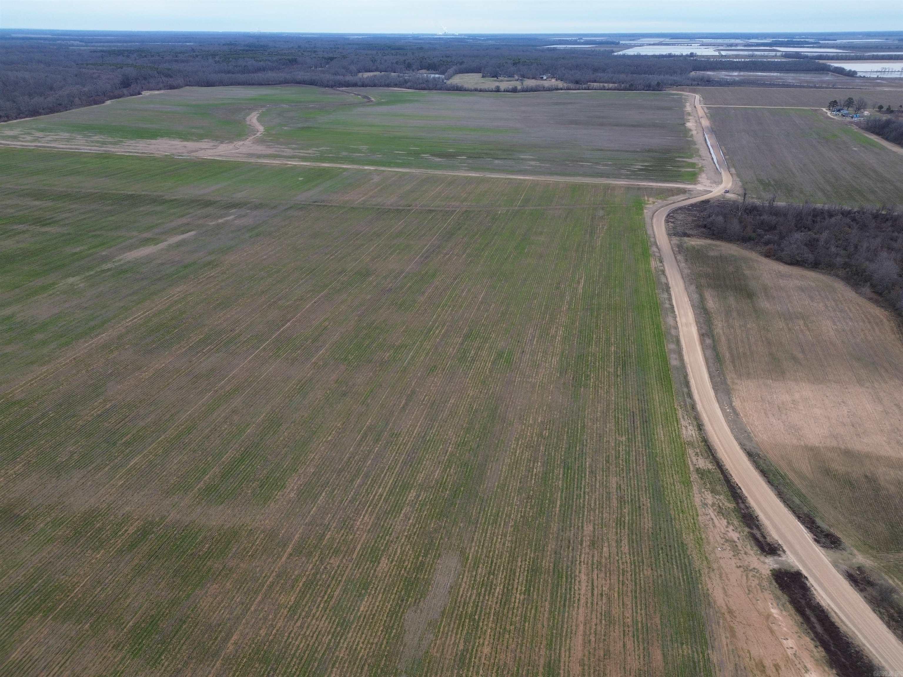 6000 Hwy 425 Property Photo 8