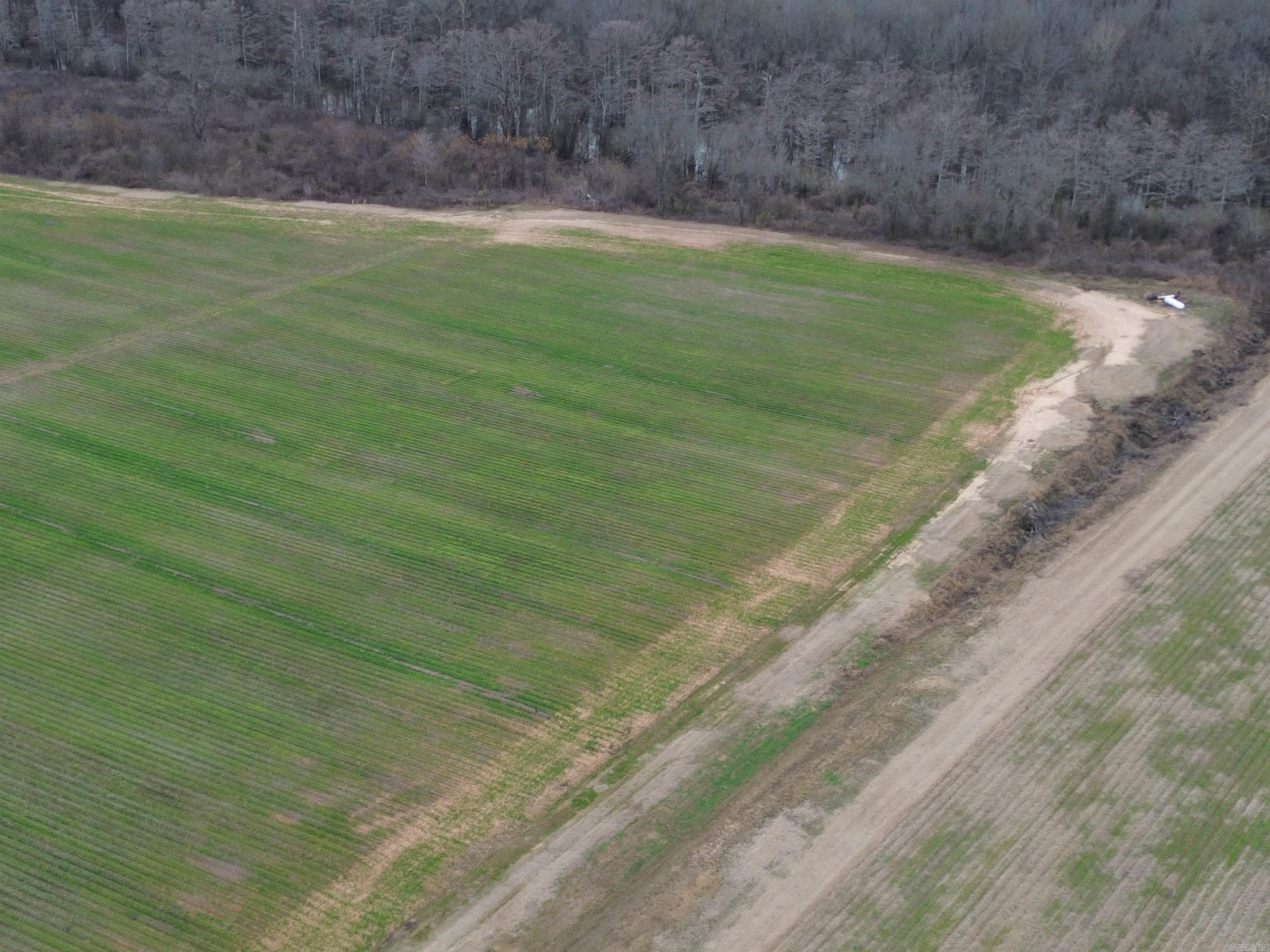 6000 Hwy 425 Property Photo 10