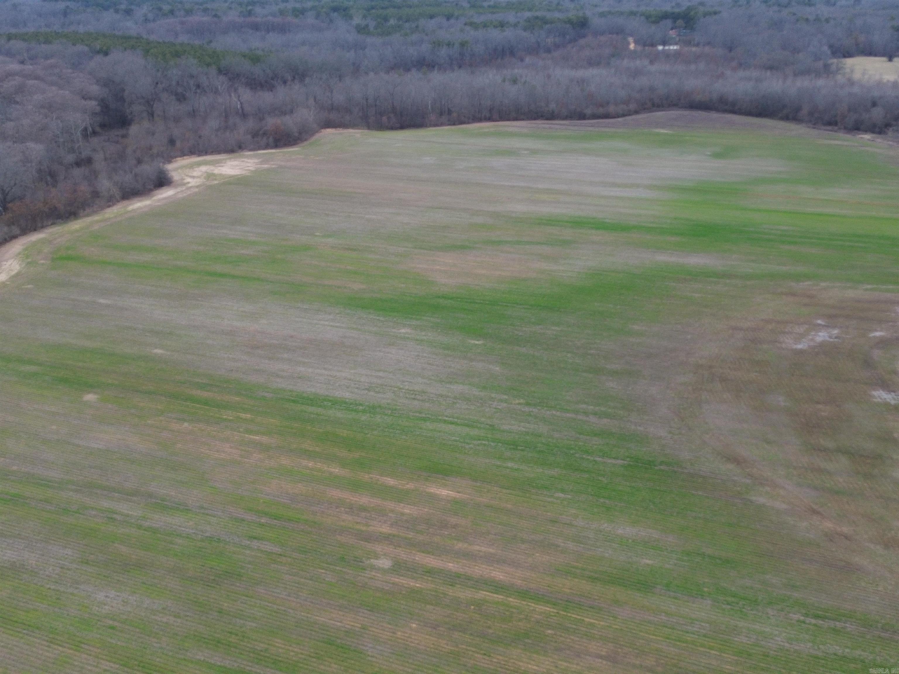 6000 Hwy 425 Property Photo 11
