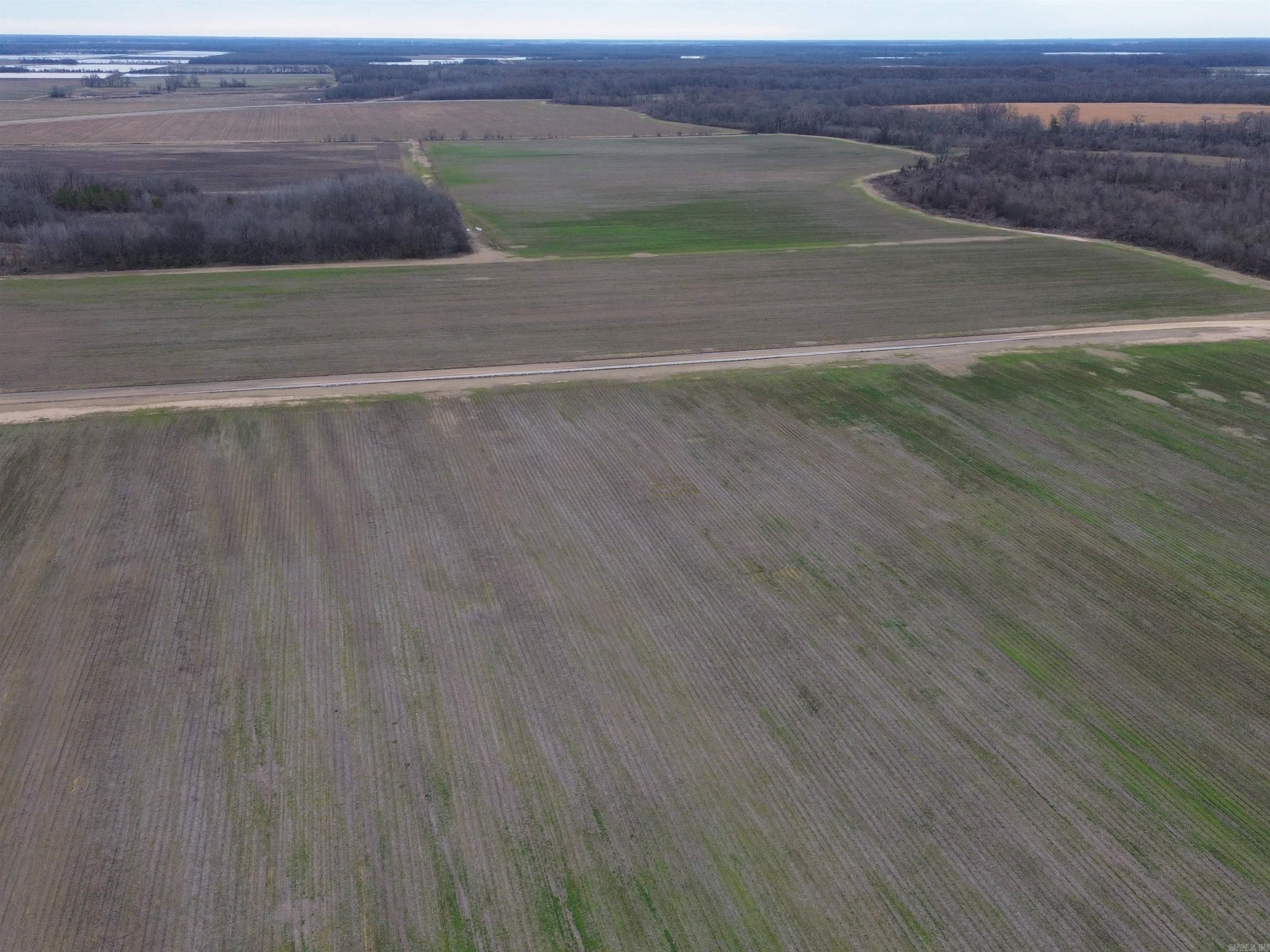 6000 Hwy 425 Property Photo 13