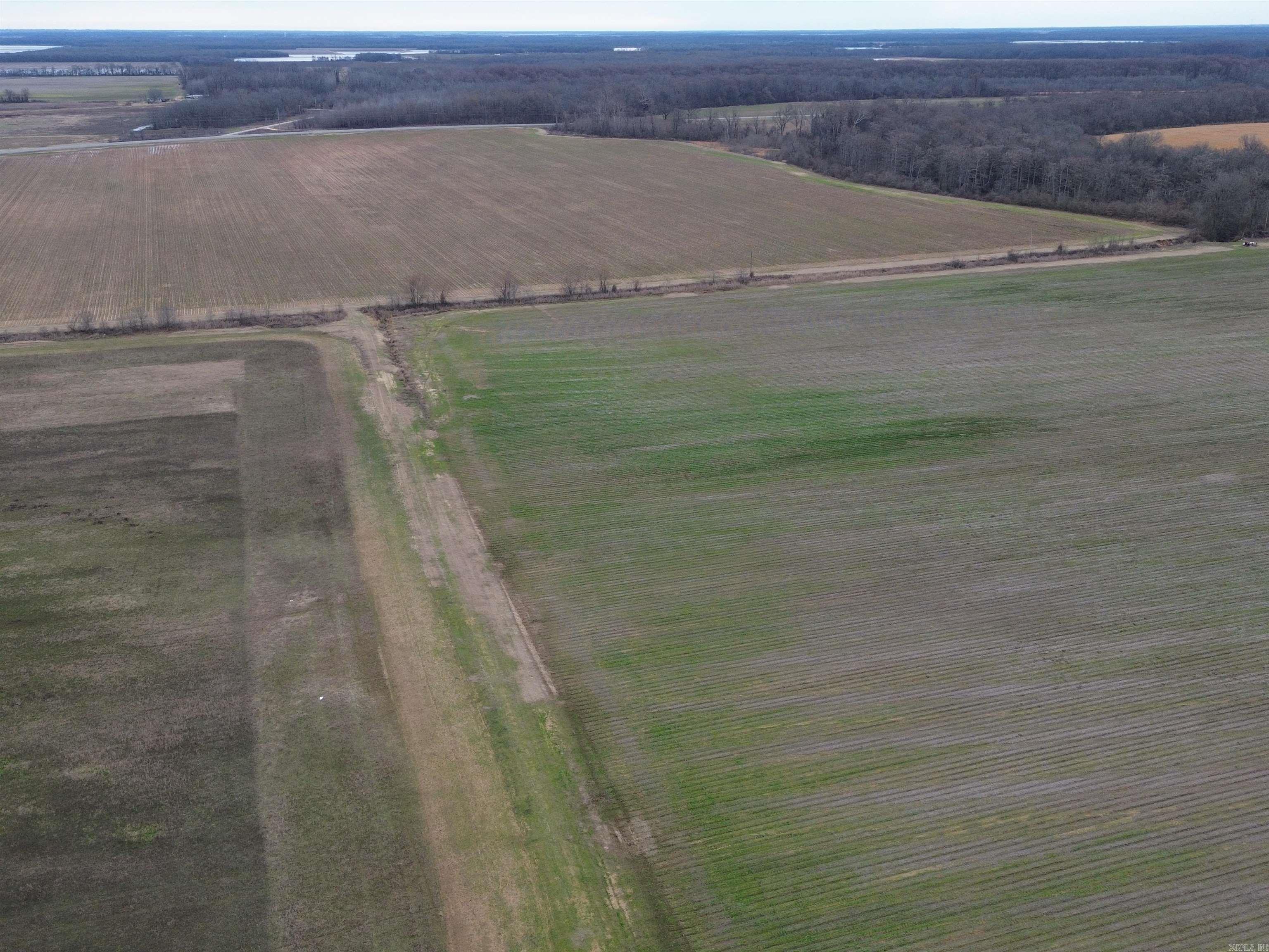 6000 Hwy 425 Property Photo 15