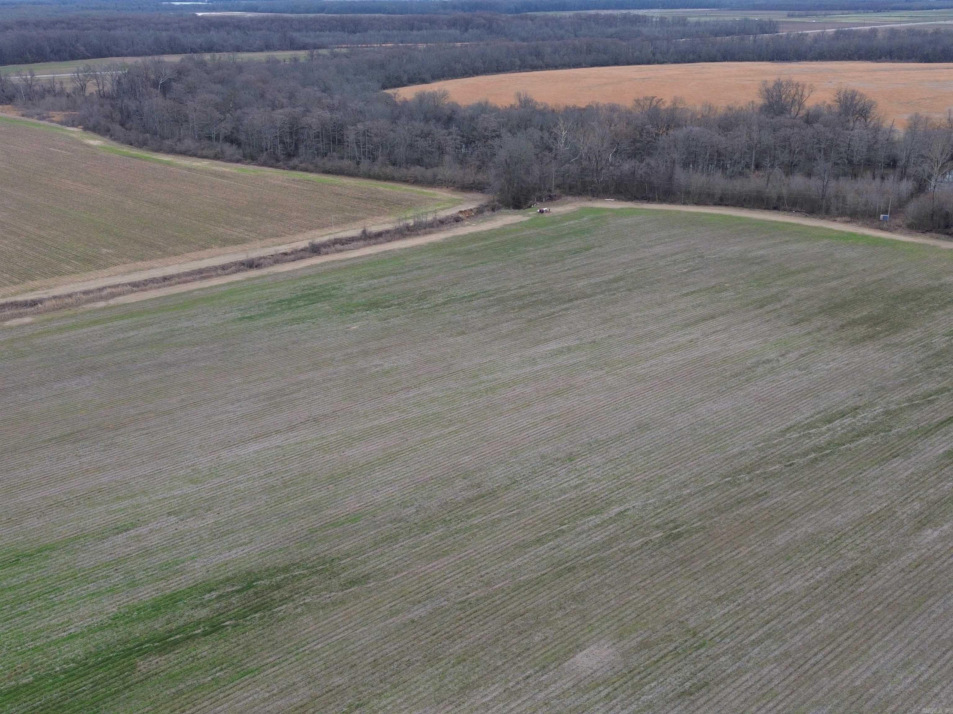 6000 Hwy 425 Property Photo 16