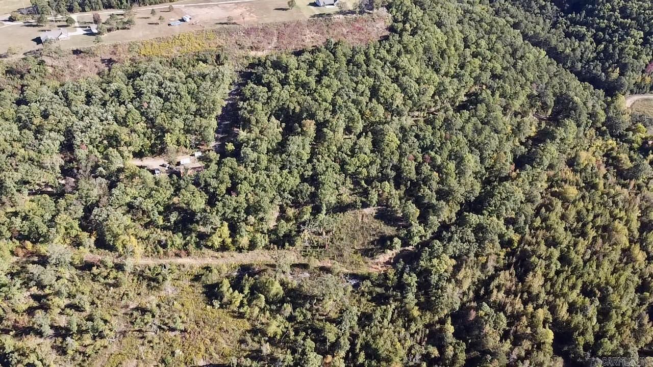 000 Hwy 818 Property Photo 5