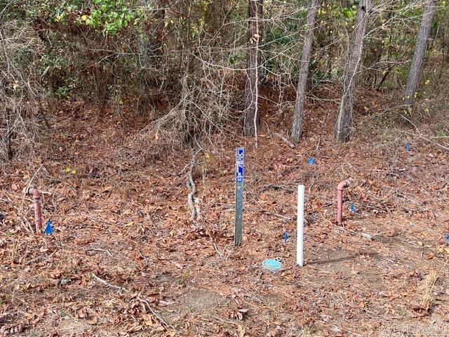 Xxx Hardin-reed Road Property Photo 3