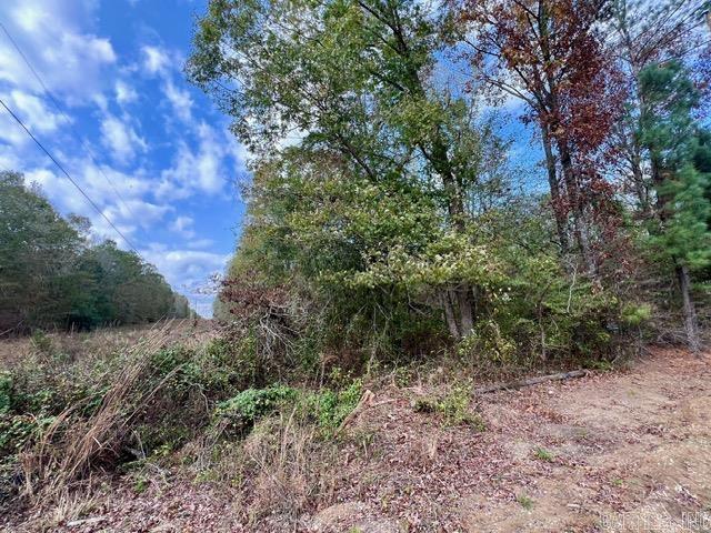 Xxx Hardin-reed Road Property Photo 5
