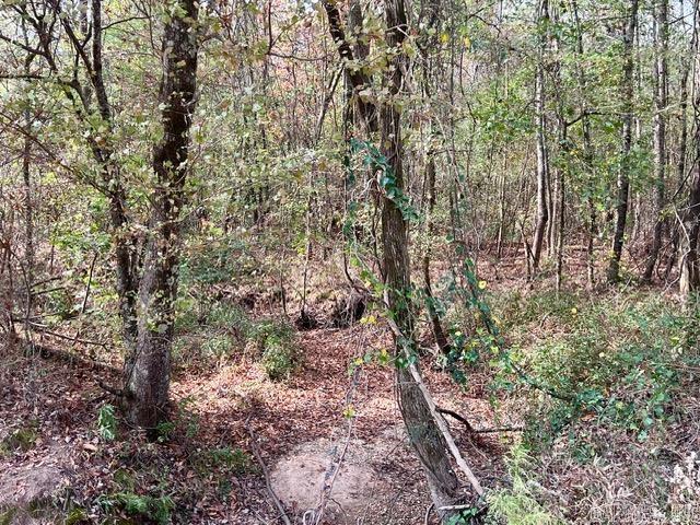 Xxx Hardin-reed Road Property Photo 9