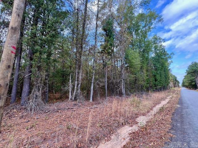 Xxx Hardin-reed Road Property Photo 11