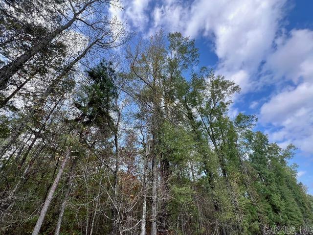Xxx Hardin-reed Road Property Photo 12