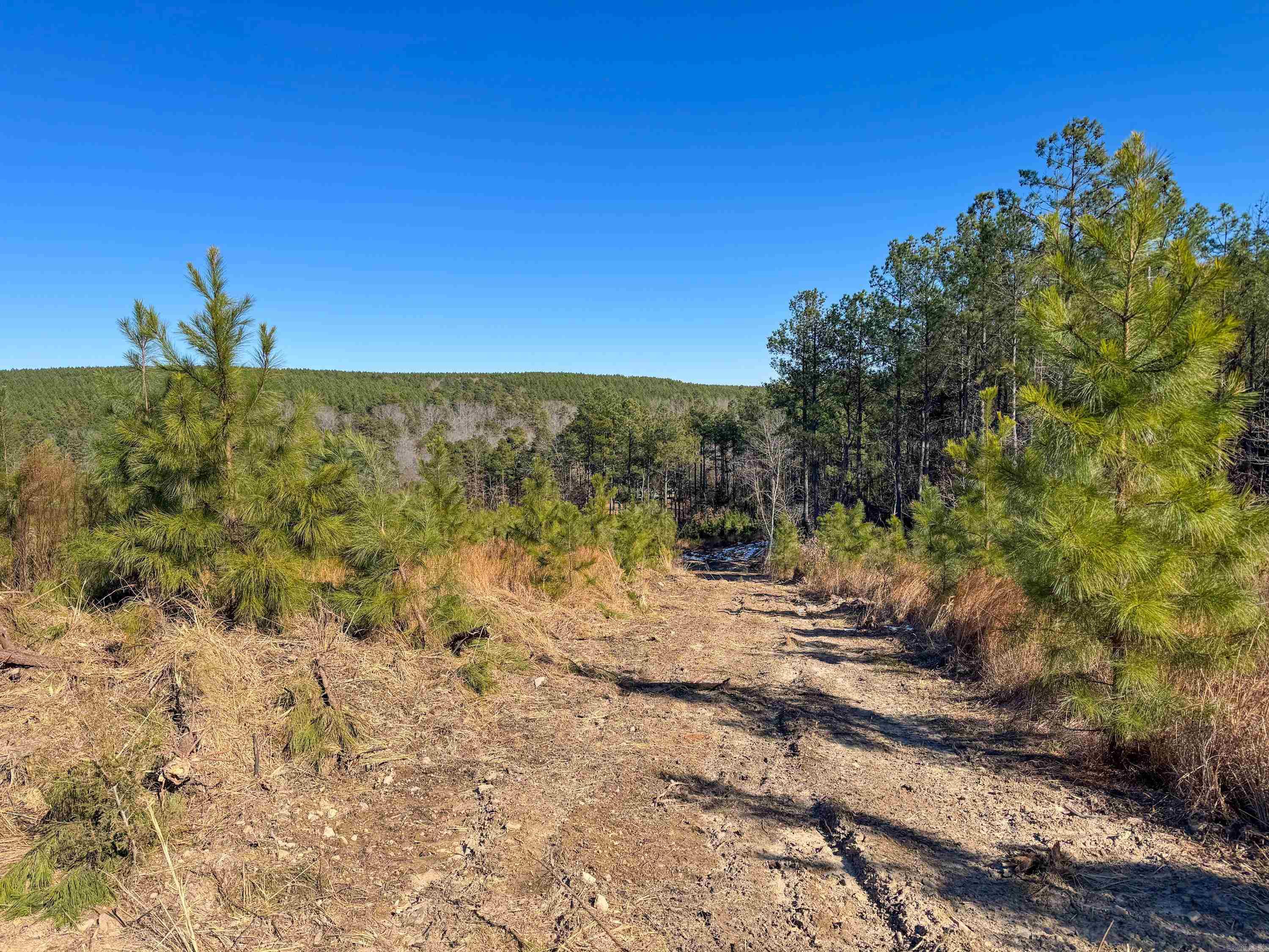 952 Tarter Hill Road Property Photo 1