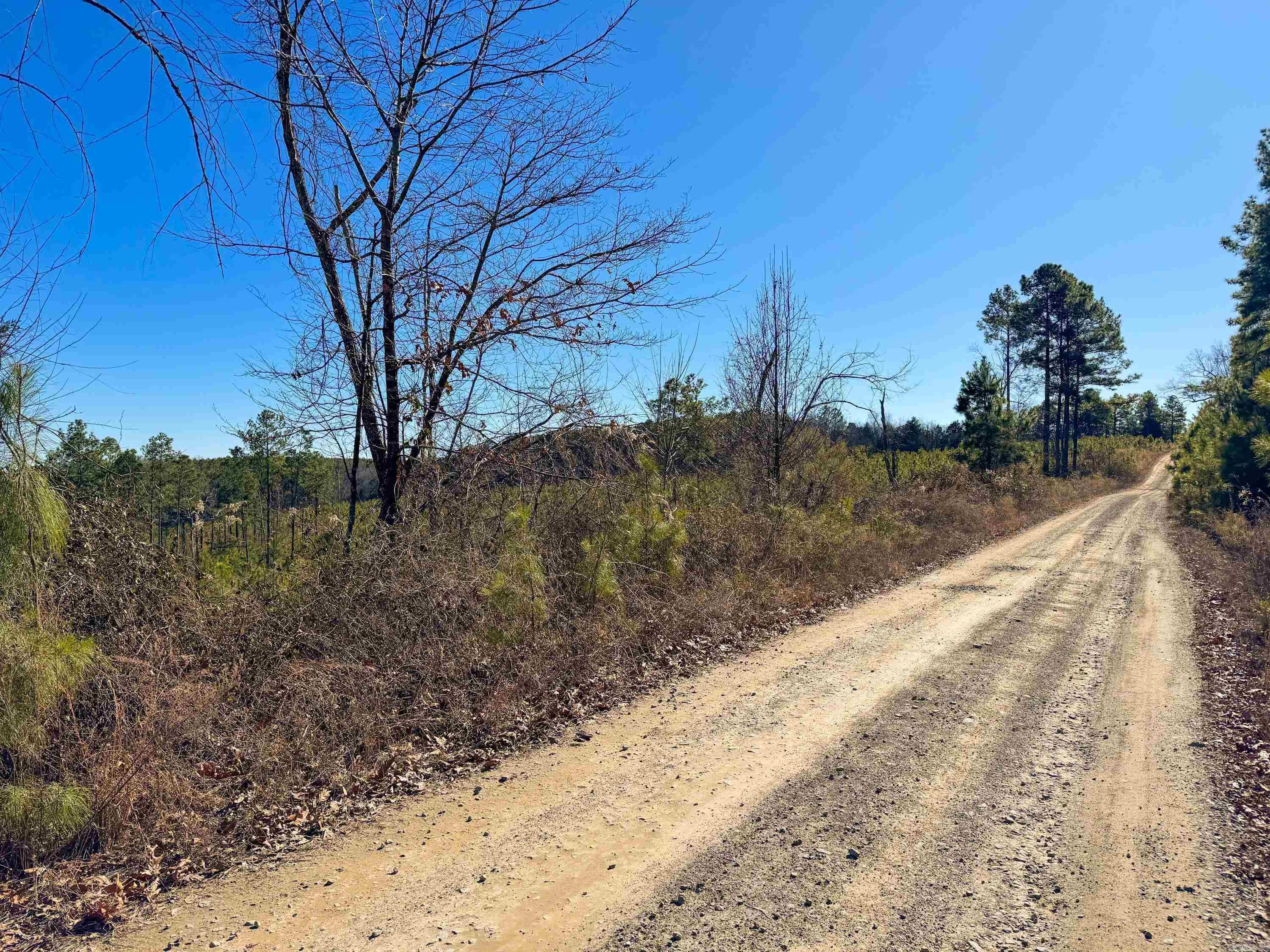 952 Tarter Hill Road Property Photo 3