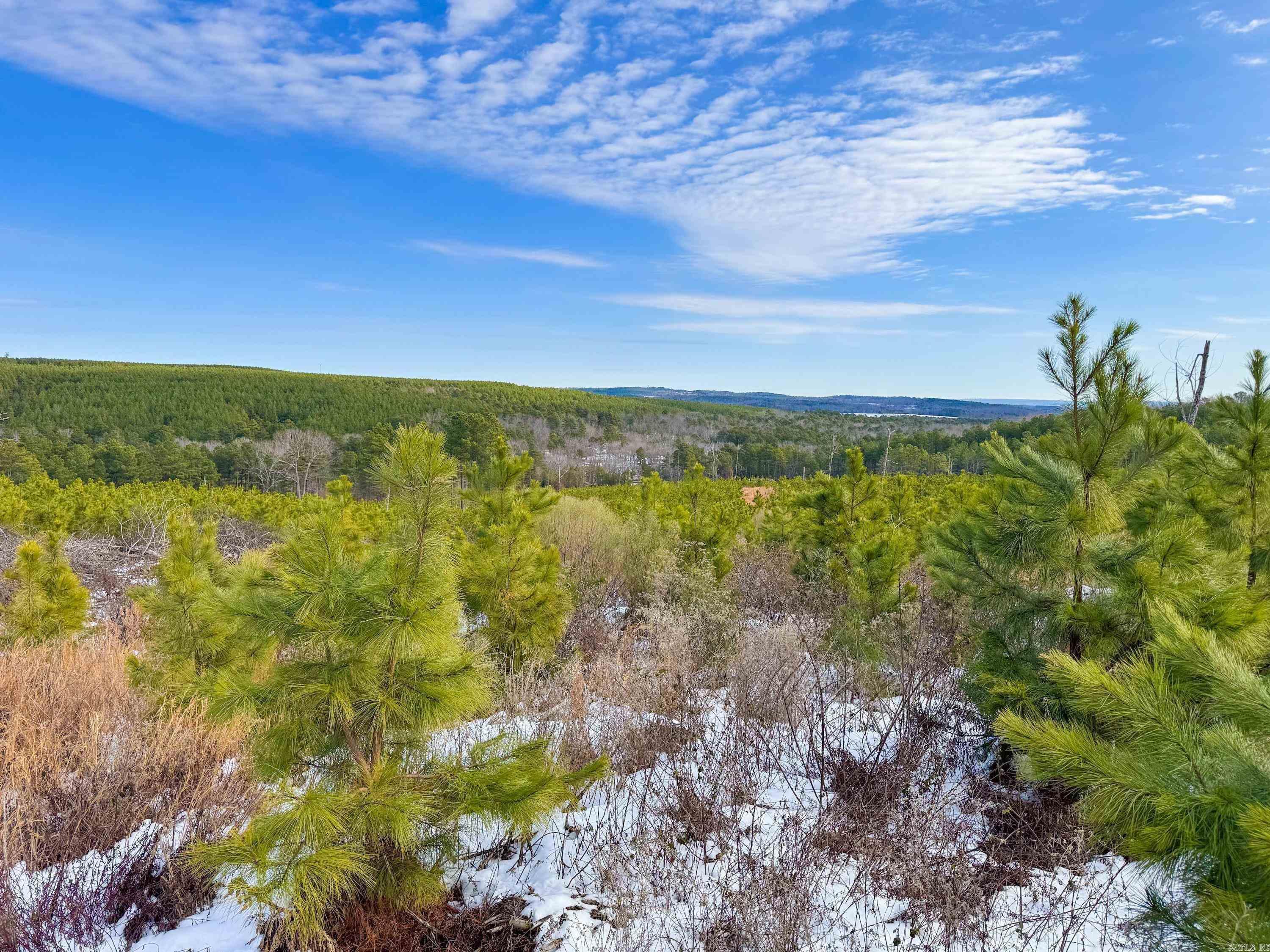 952 Tarter Hill Road Property Photo 4