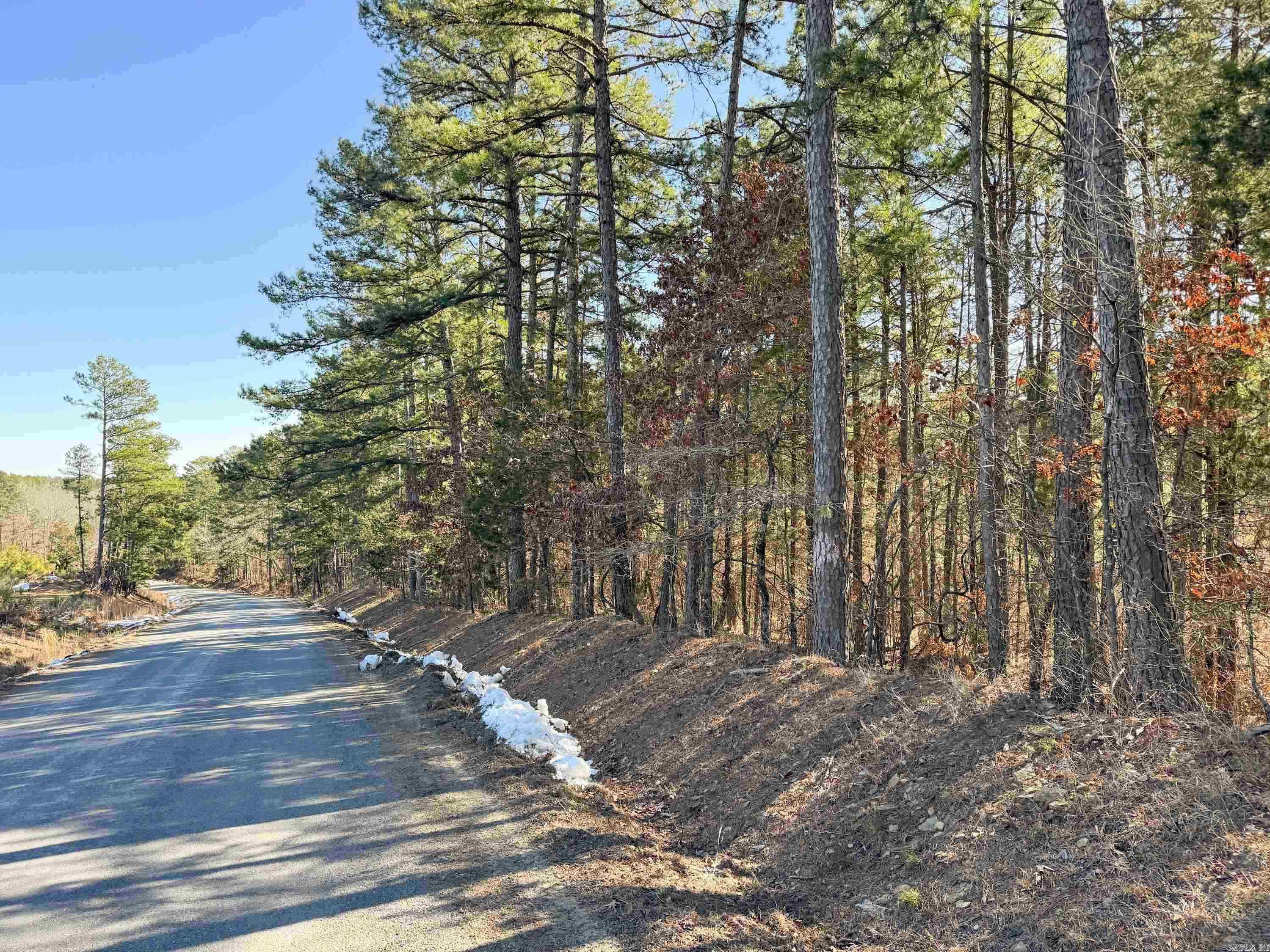 952 Tarter Hill Road Property Photo 6