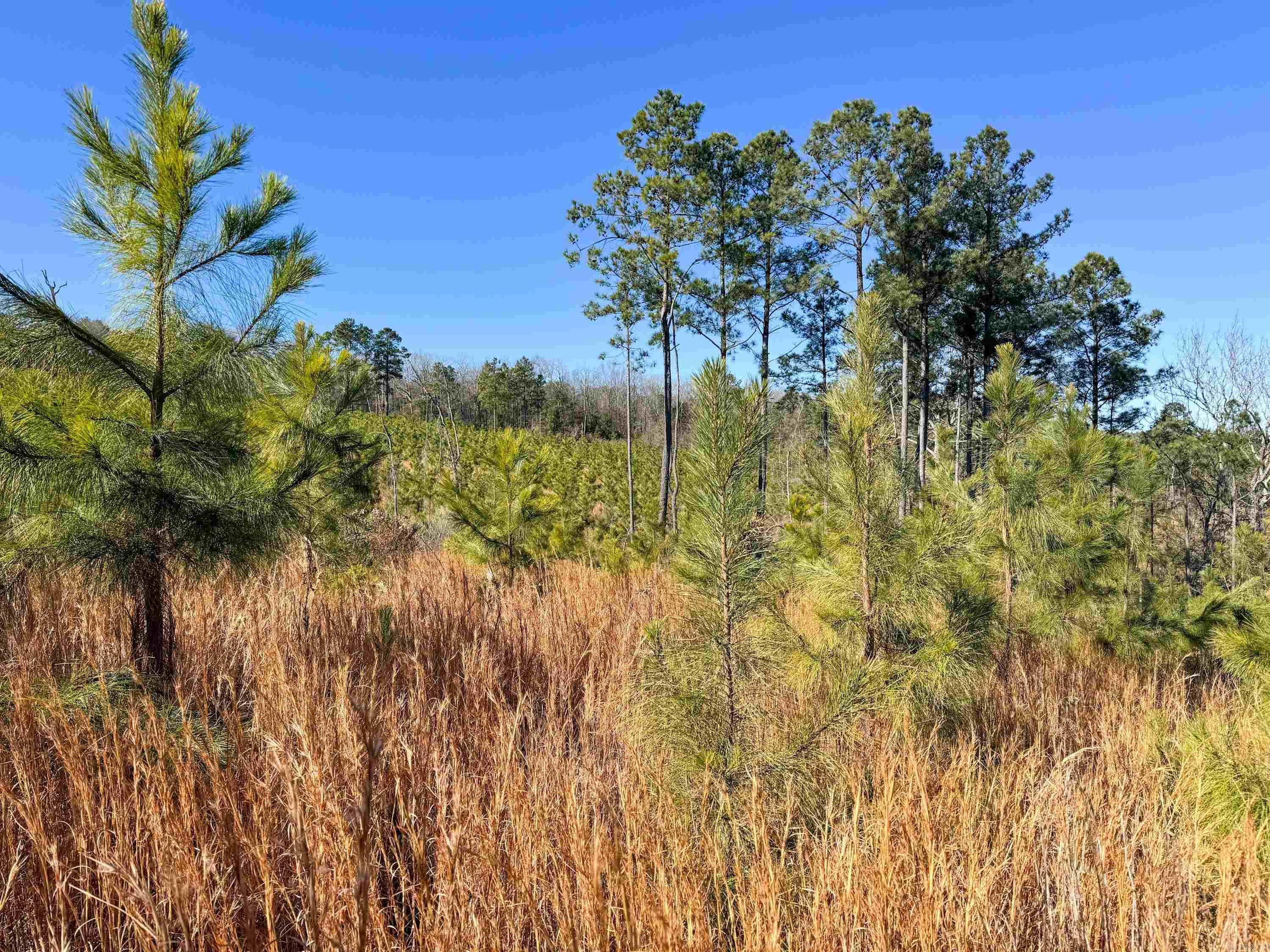952 Tarter Hill Road Property Photo 7
