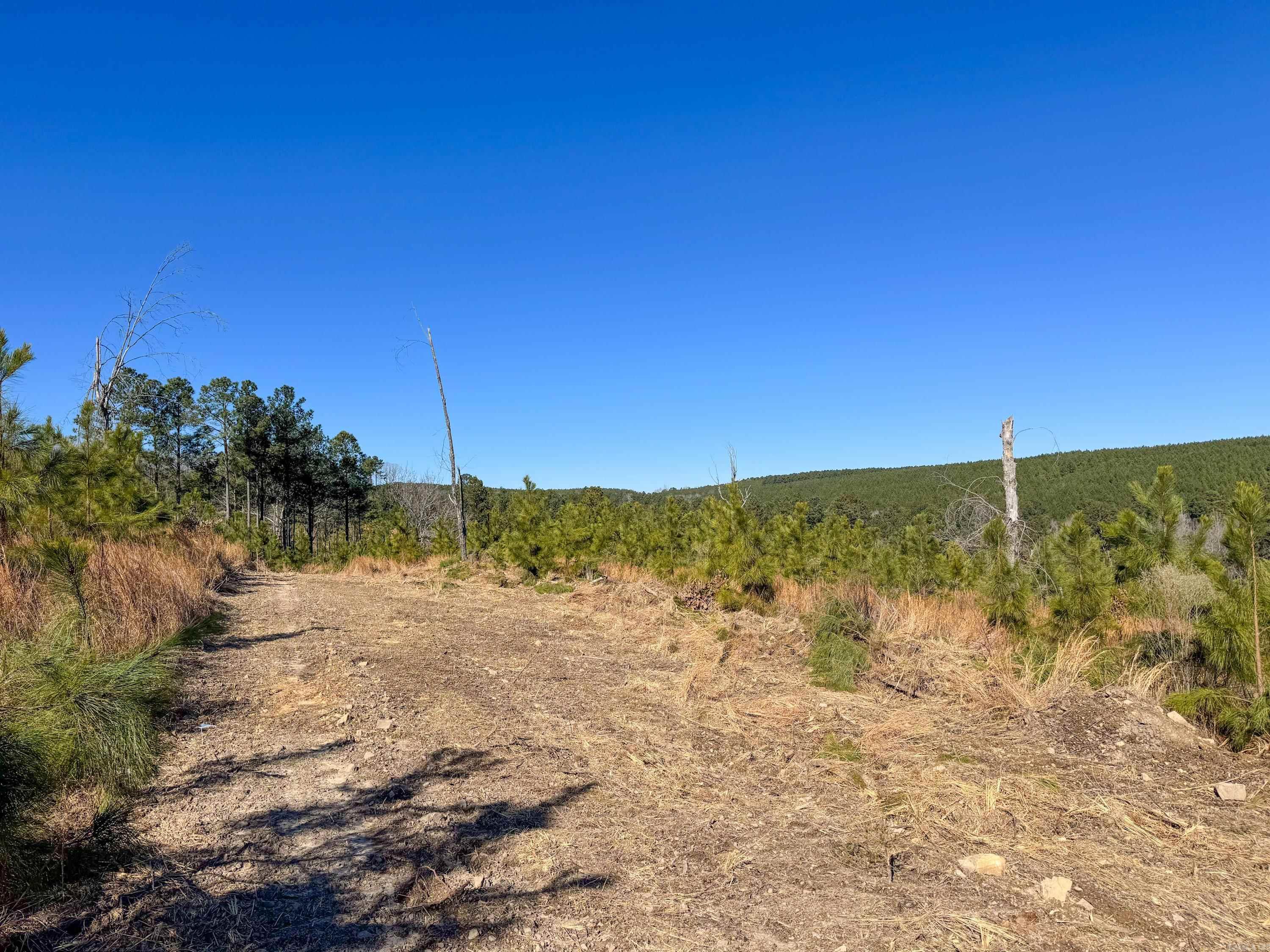 952 Tarter Hill Road Property Photo 8