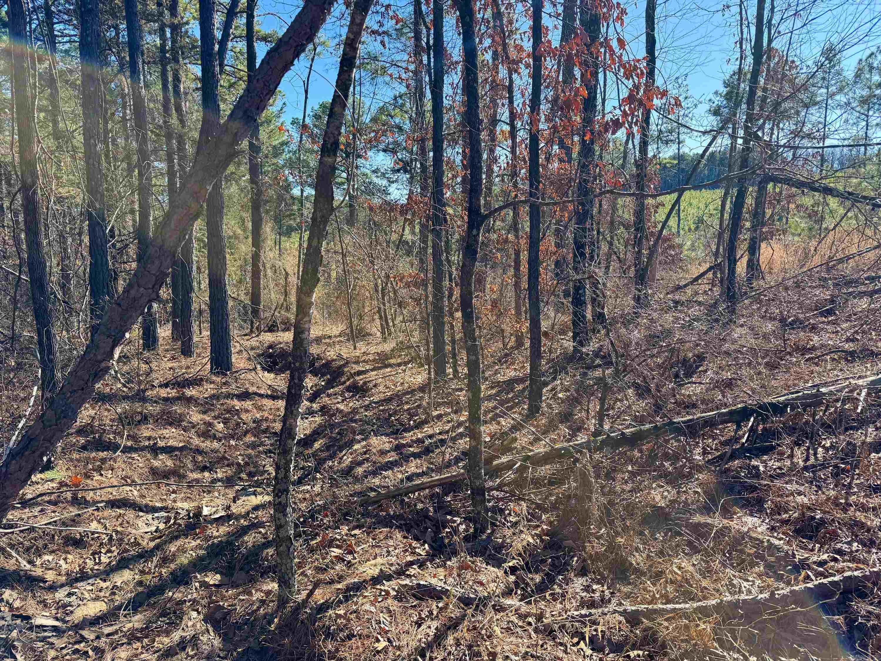 952 Tarter Hill Road Property Photo 10