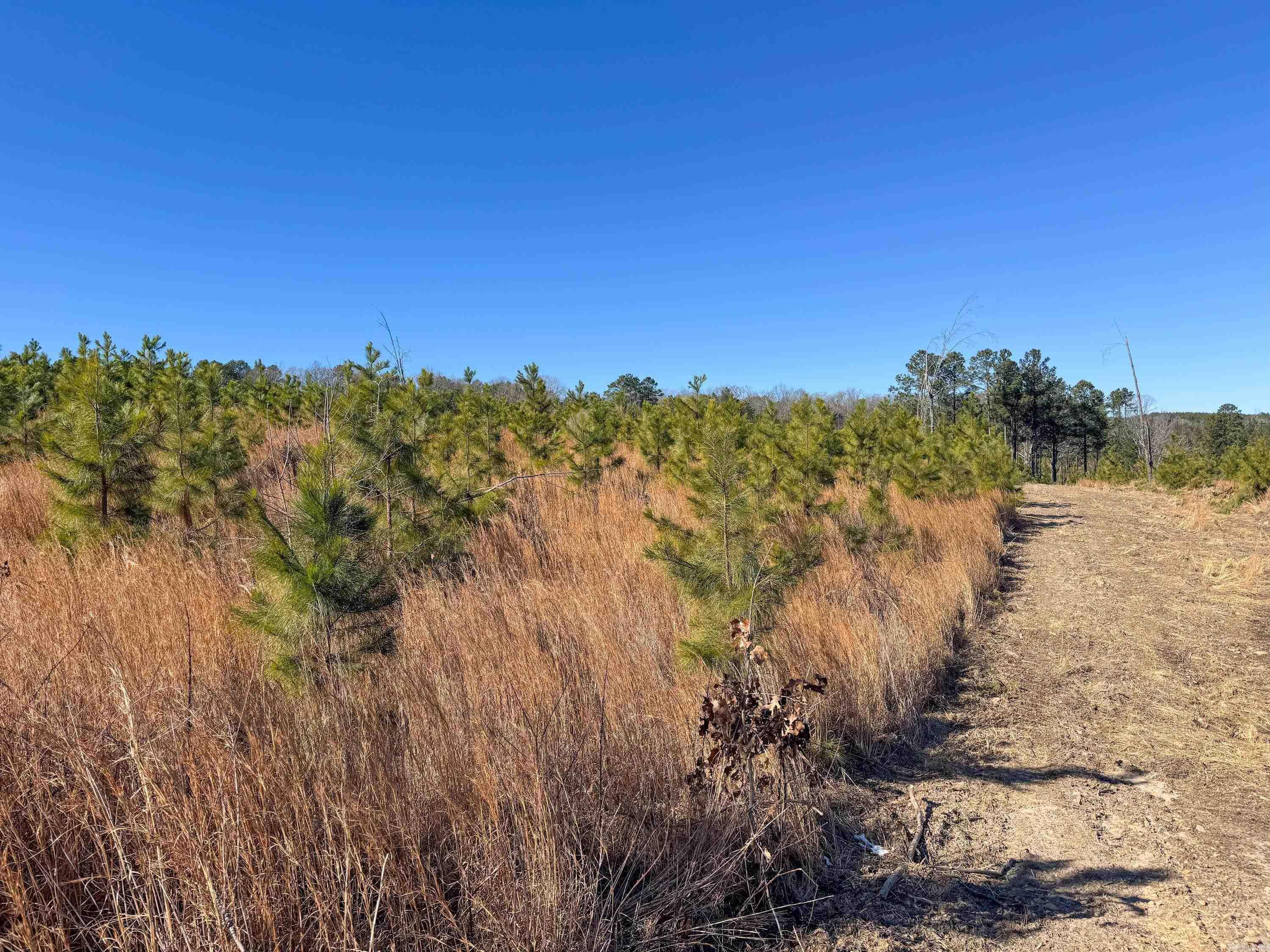 952 Tarter Hill Road Property Photo 14