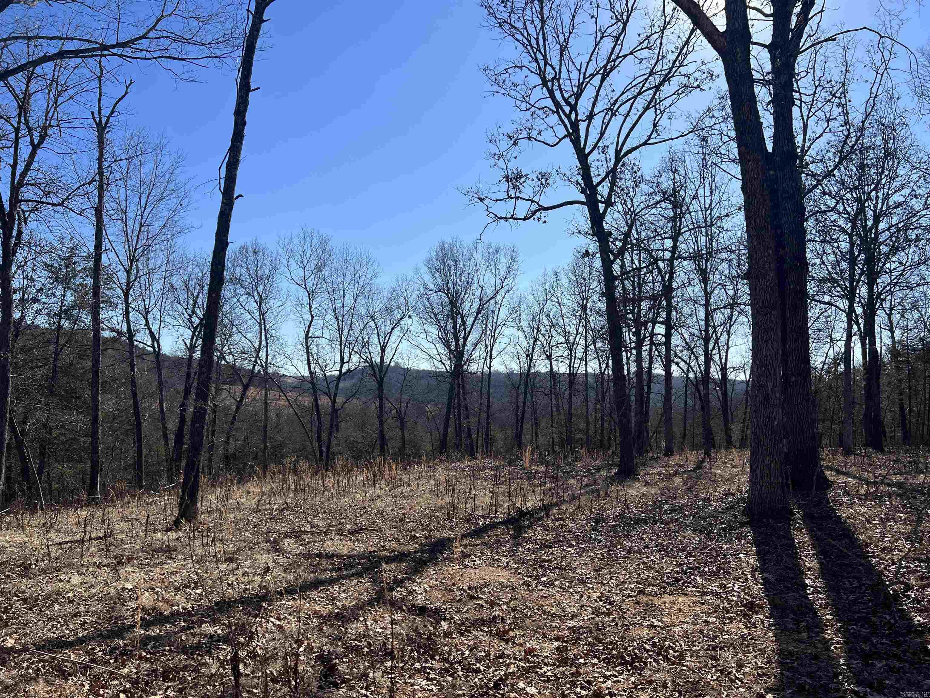 2216 Meadow Creek Drive Property Photo 2