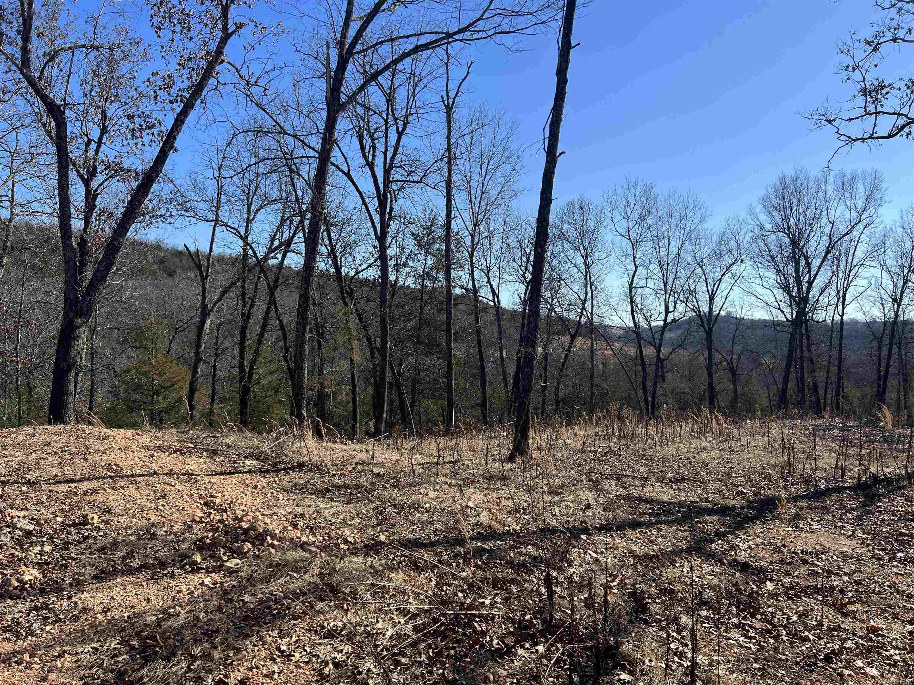 2216 Meadow Creek Drive Property Photo 6