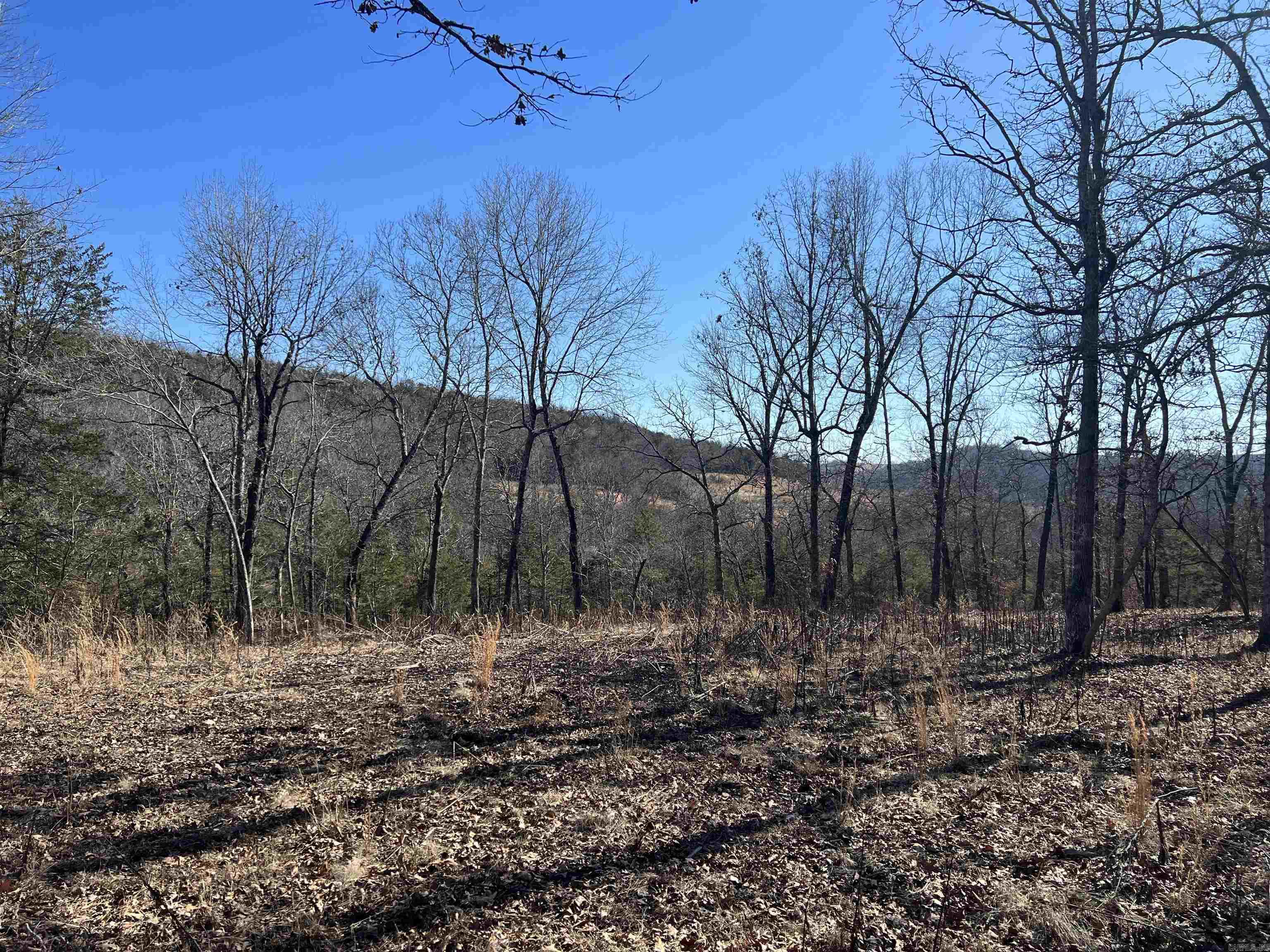 2216 Meadow Creek Drive Property Photo 7