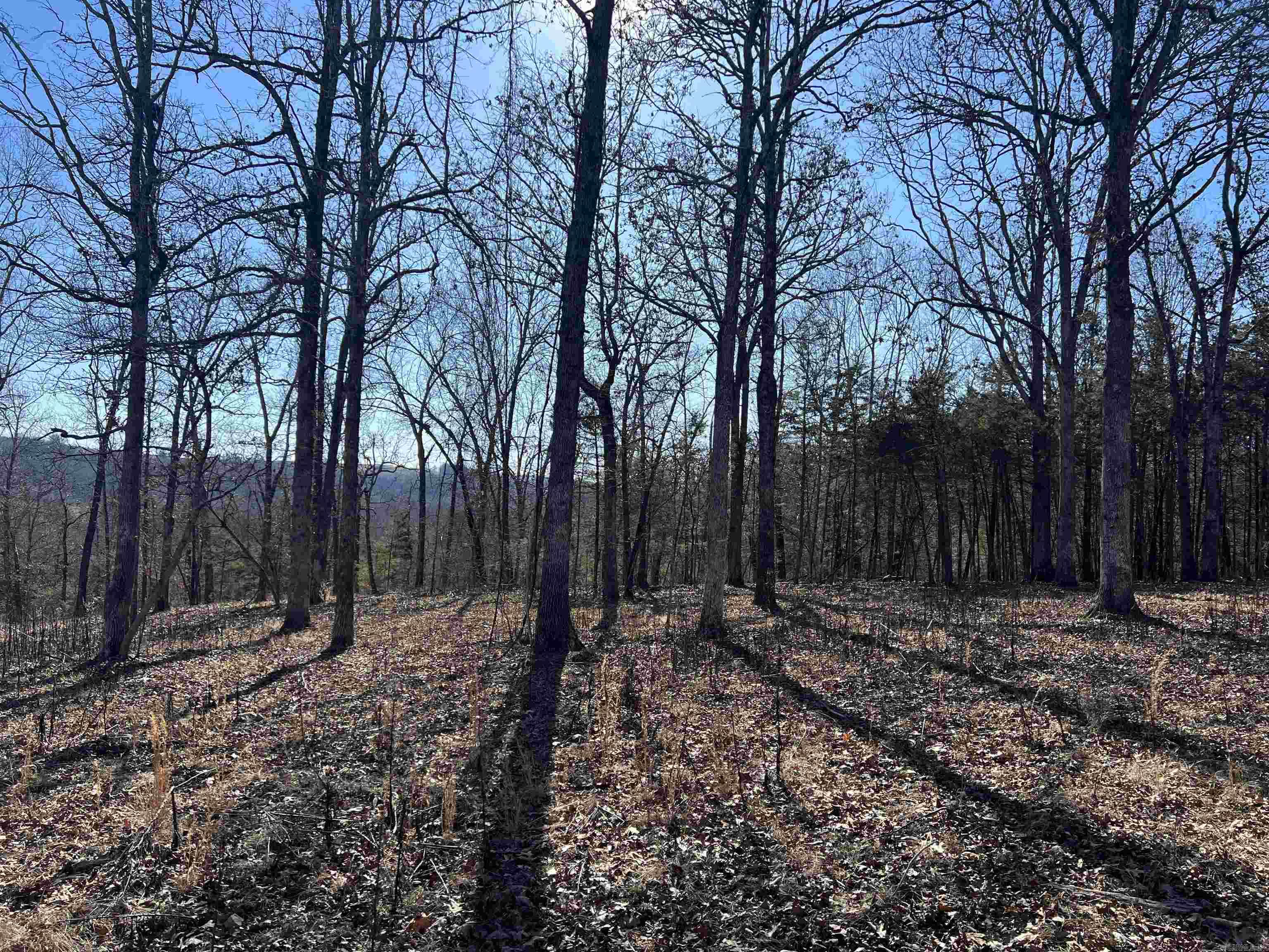 2216 Meadow Creek Drive Property Photo 8