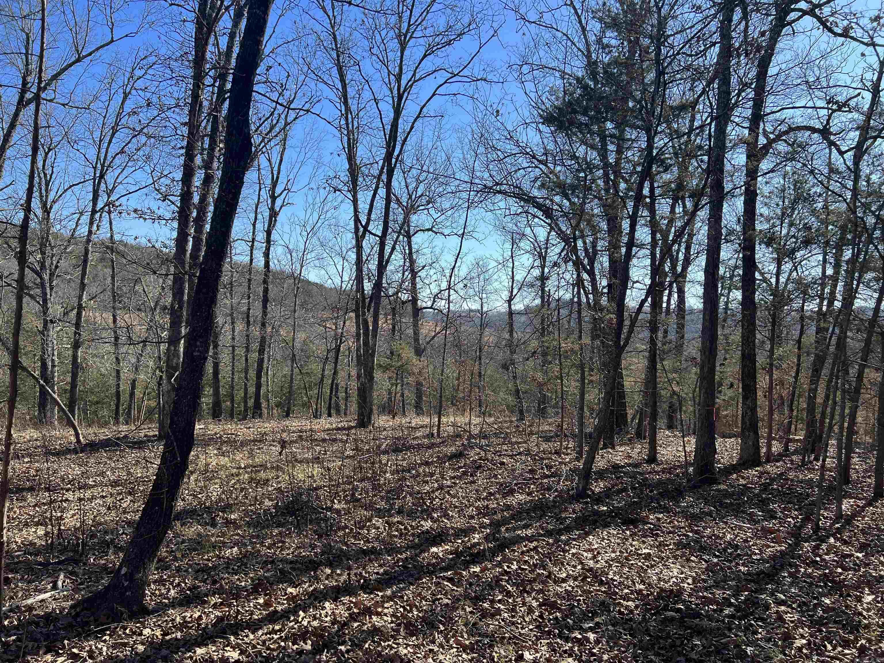 2216 Meadow Creek Drive Property Photo 9