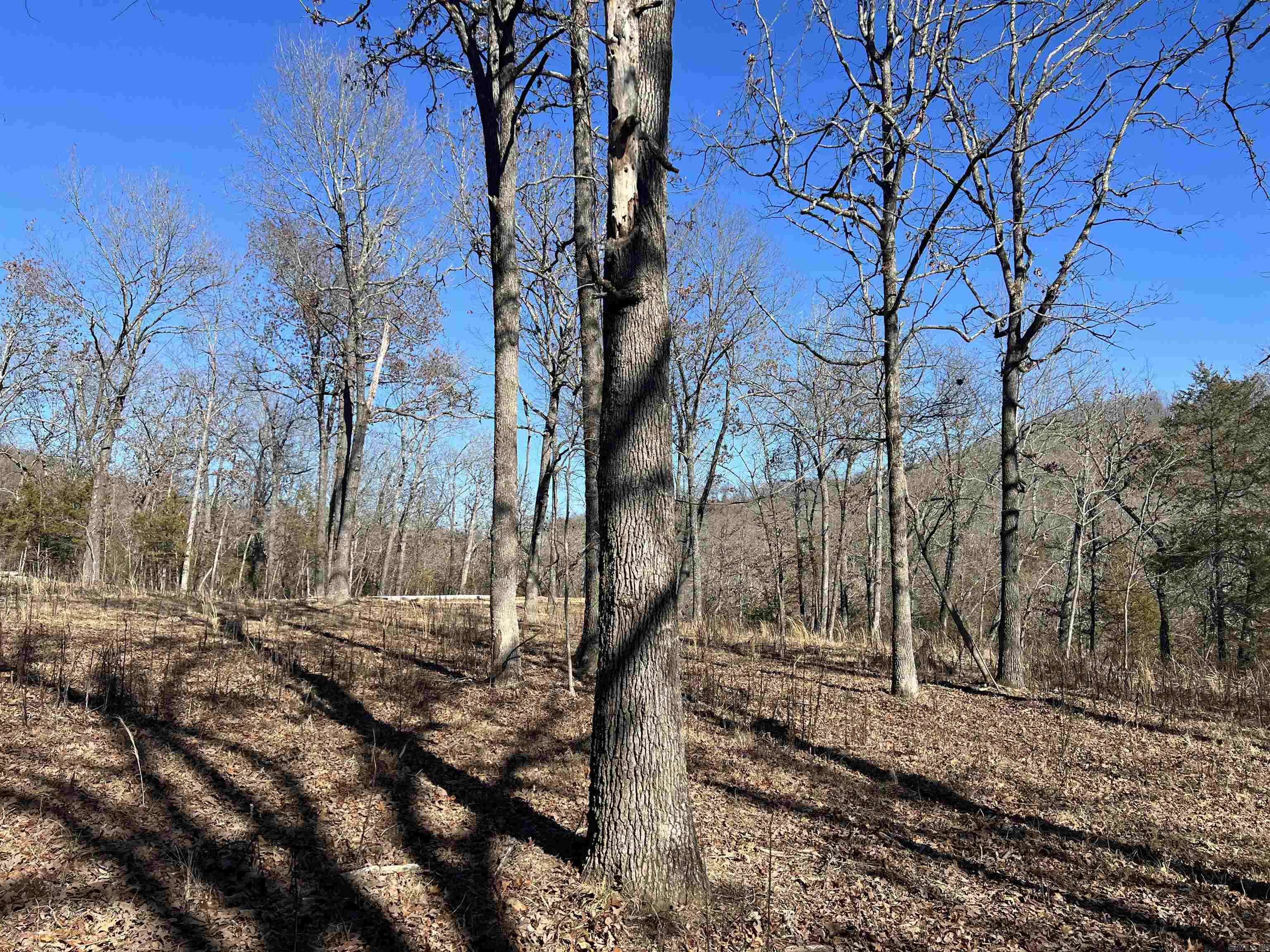 2216 Meadow Creek Drive Property Photo 10