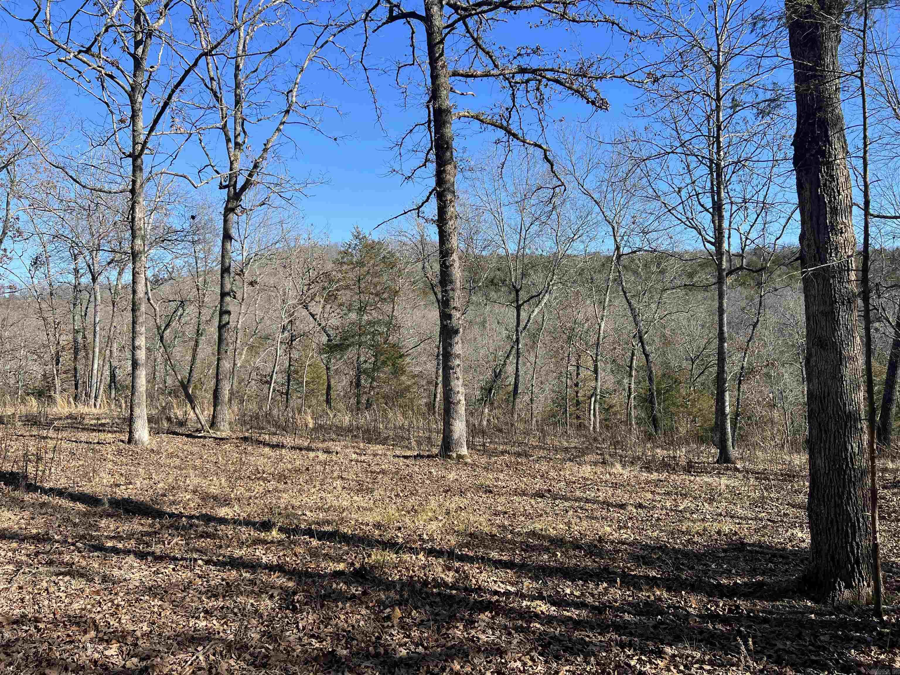 2216 Meadow Creek Drive Property Photo 11