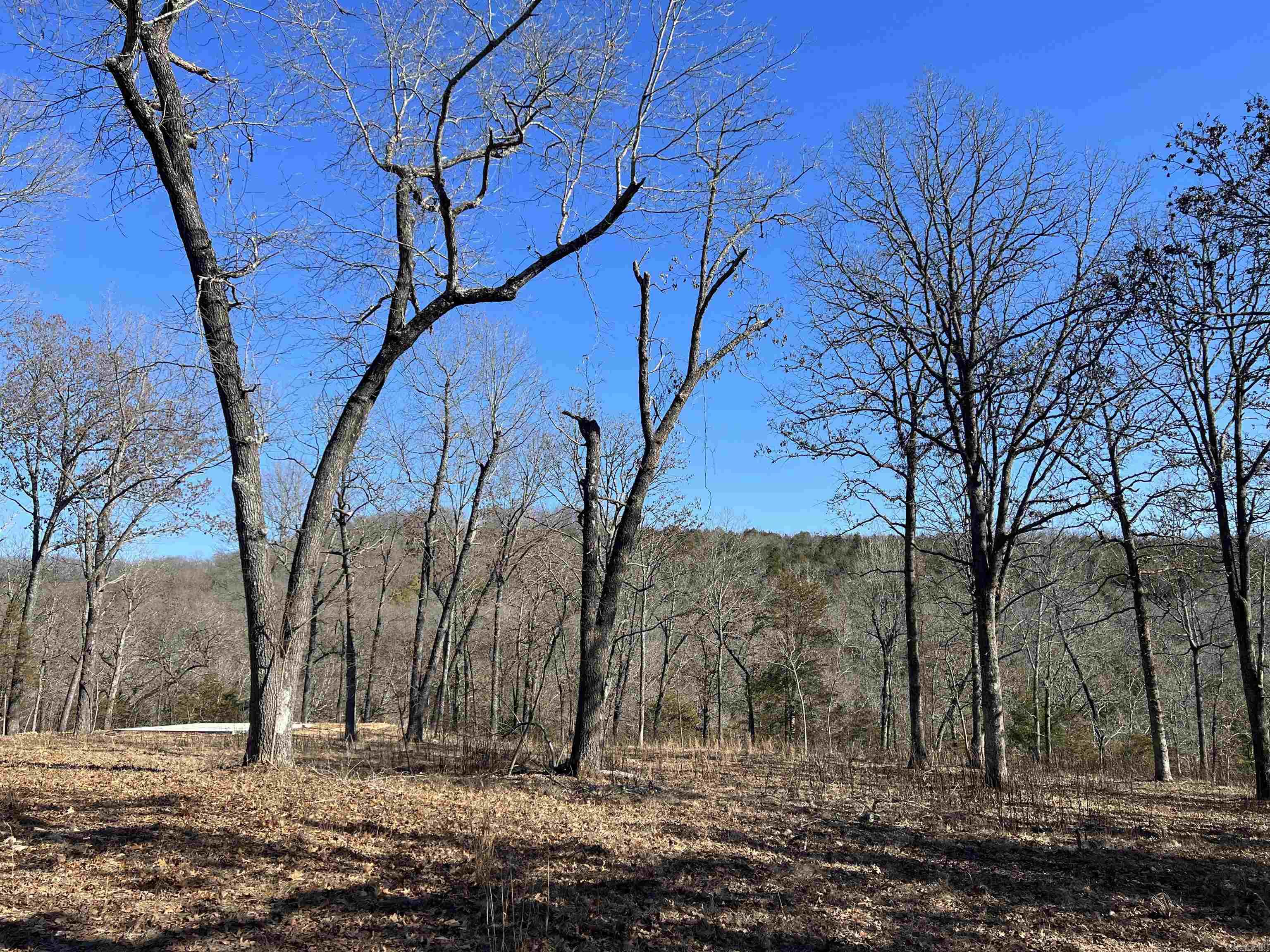 2216 Meadow Creek Drive Property Photo 12