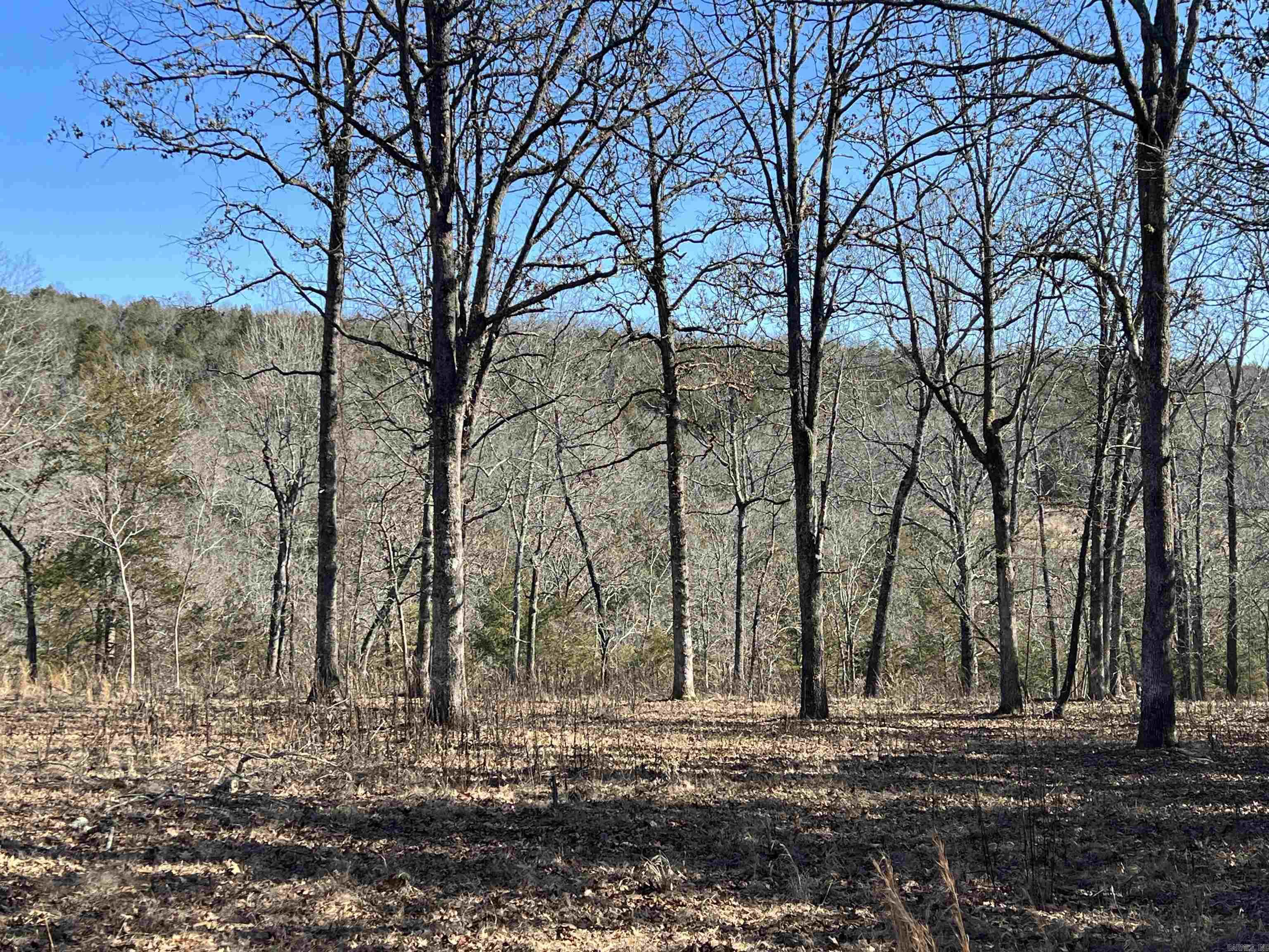 2216 Meadow Creek Drive Property Photo 13