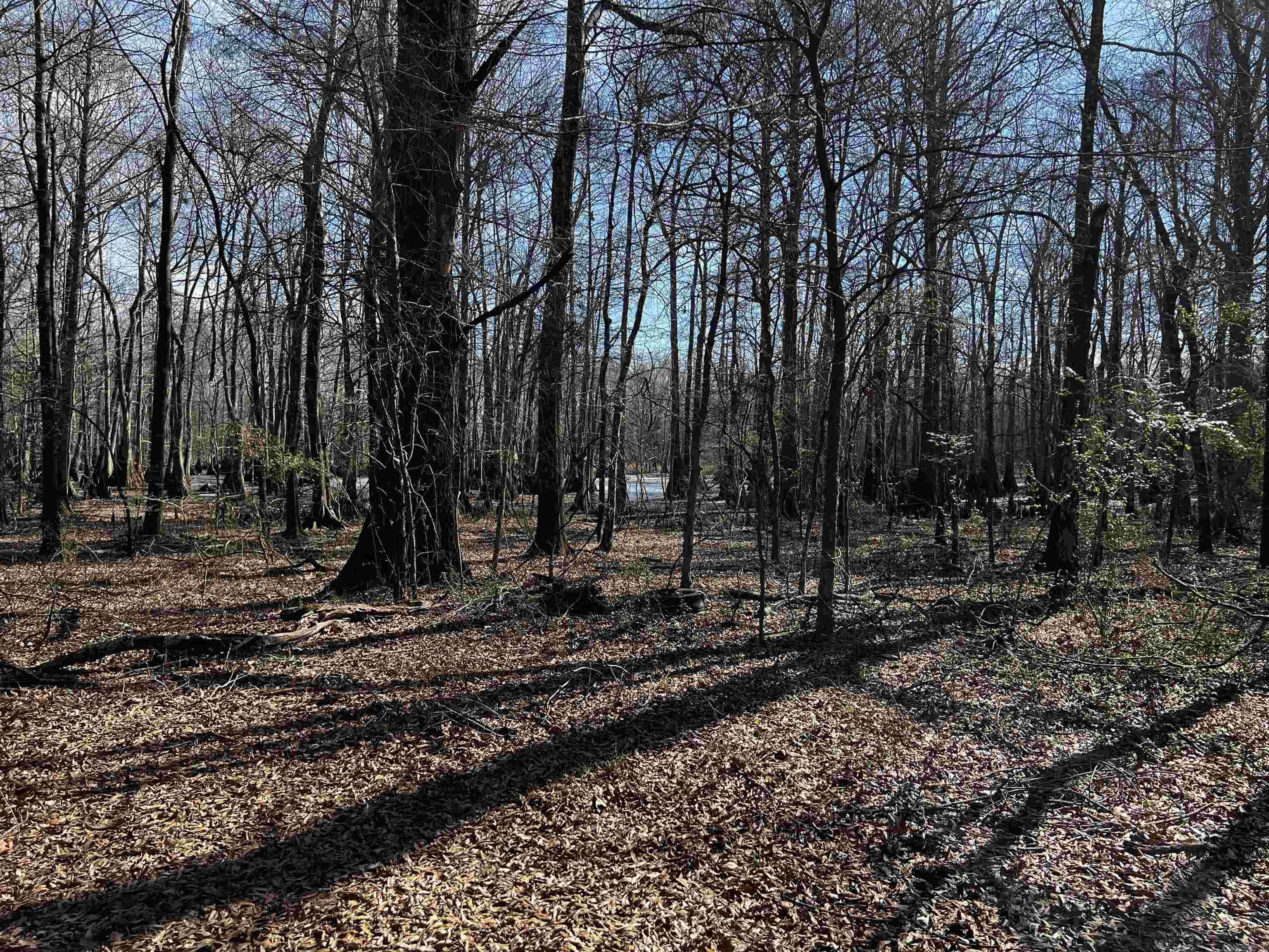 000 Mcclendon Road Property Photo 2