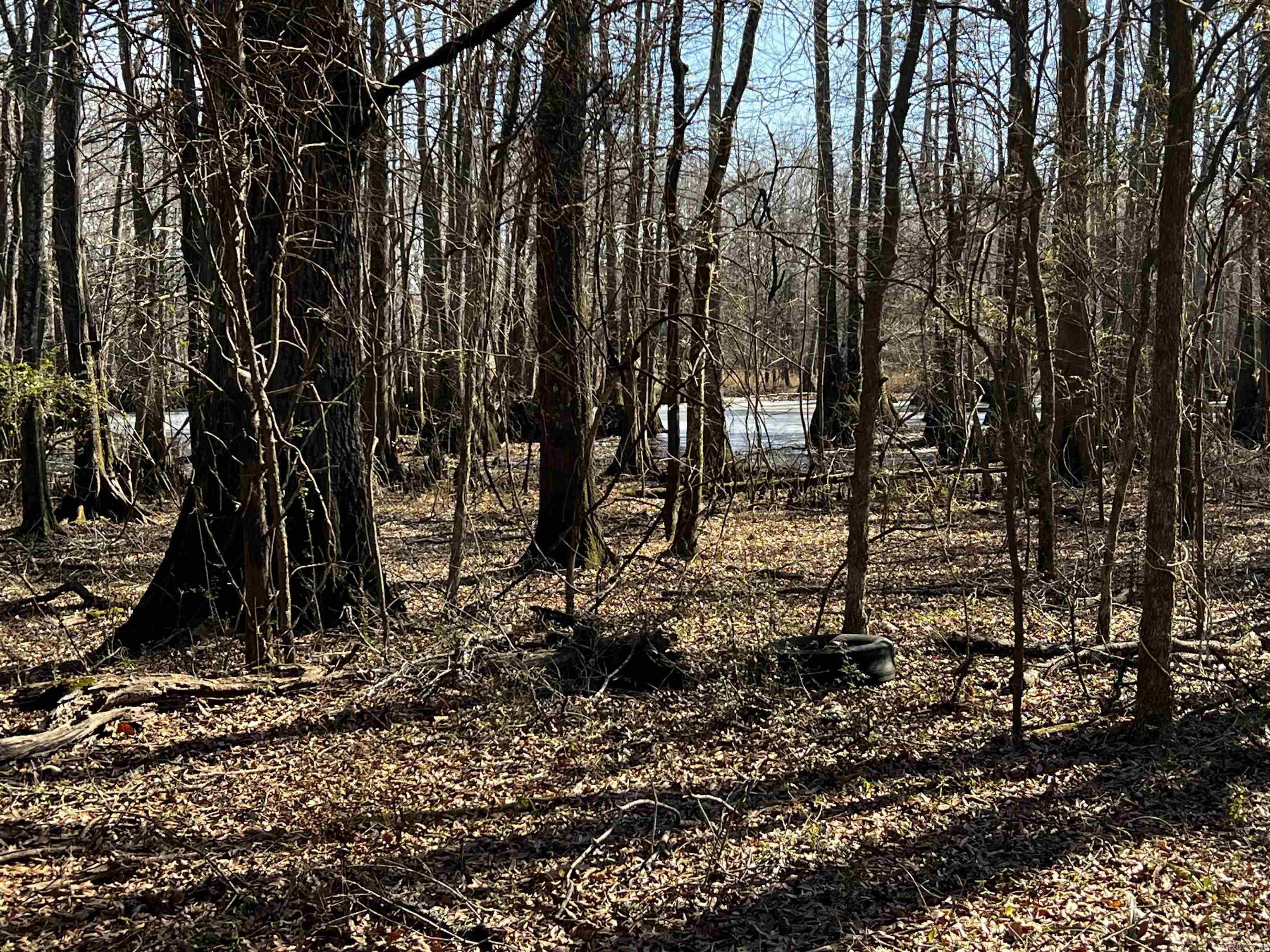 000 Mcclendon Road Property Photo 3