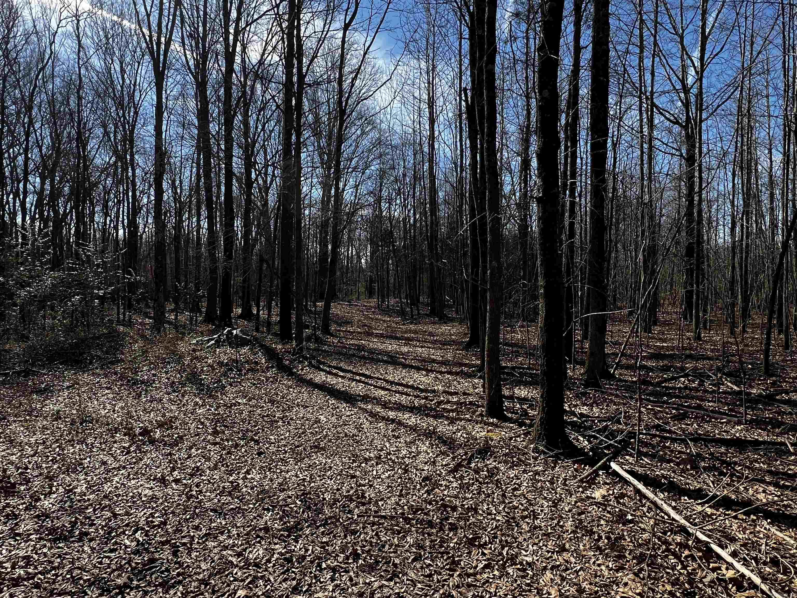 000 Mcclendon Road Property Photo 4