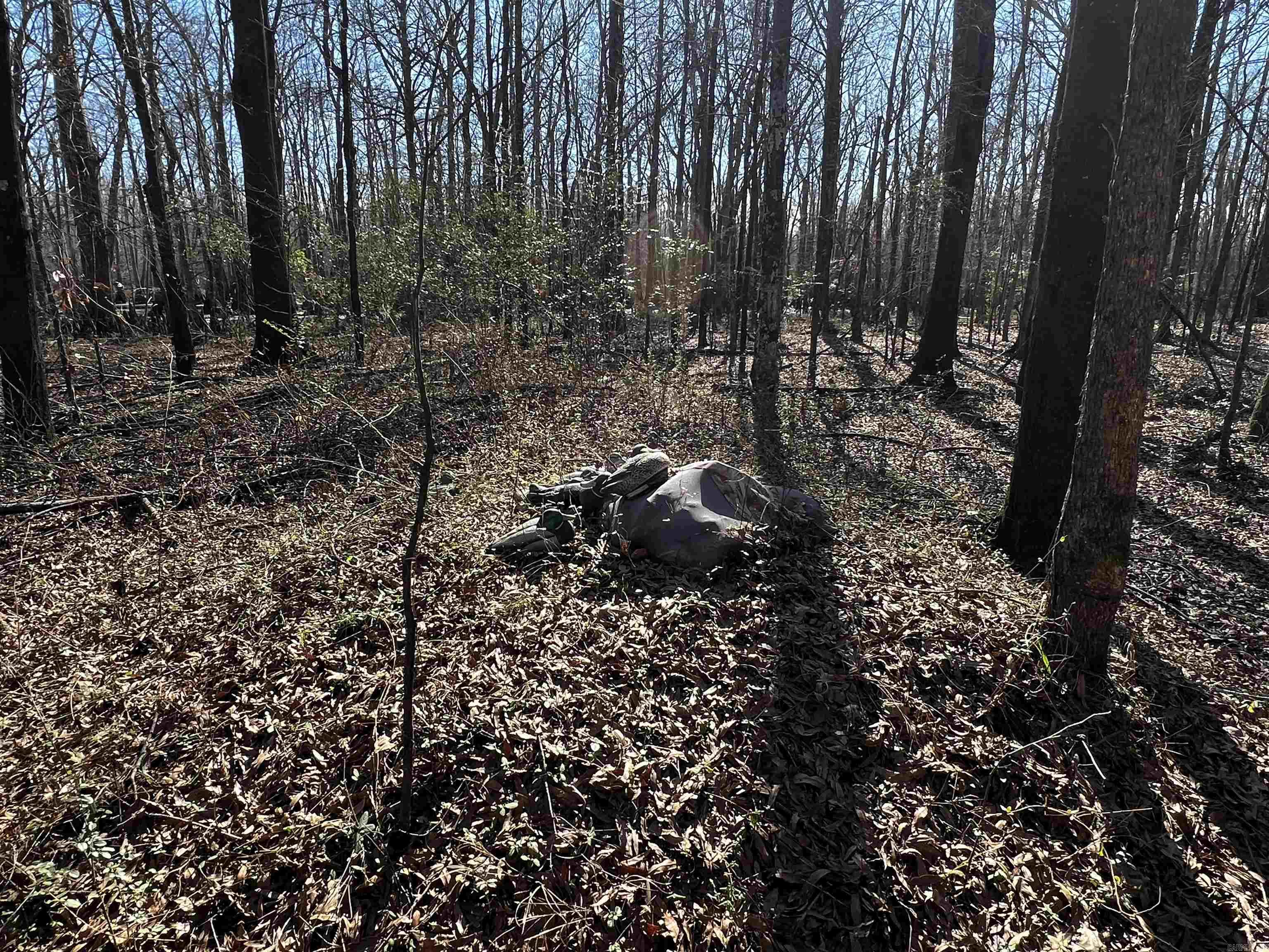 000 Mcclendon Road Property Photo 5