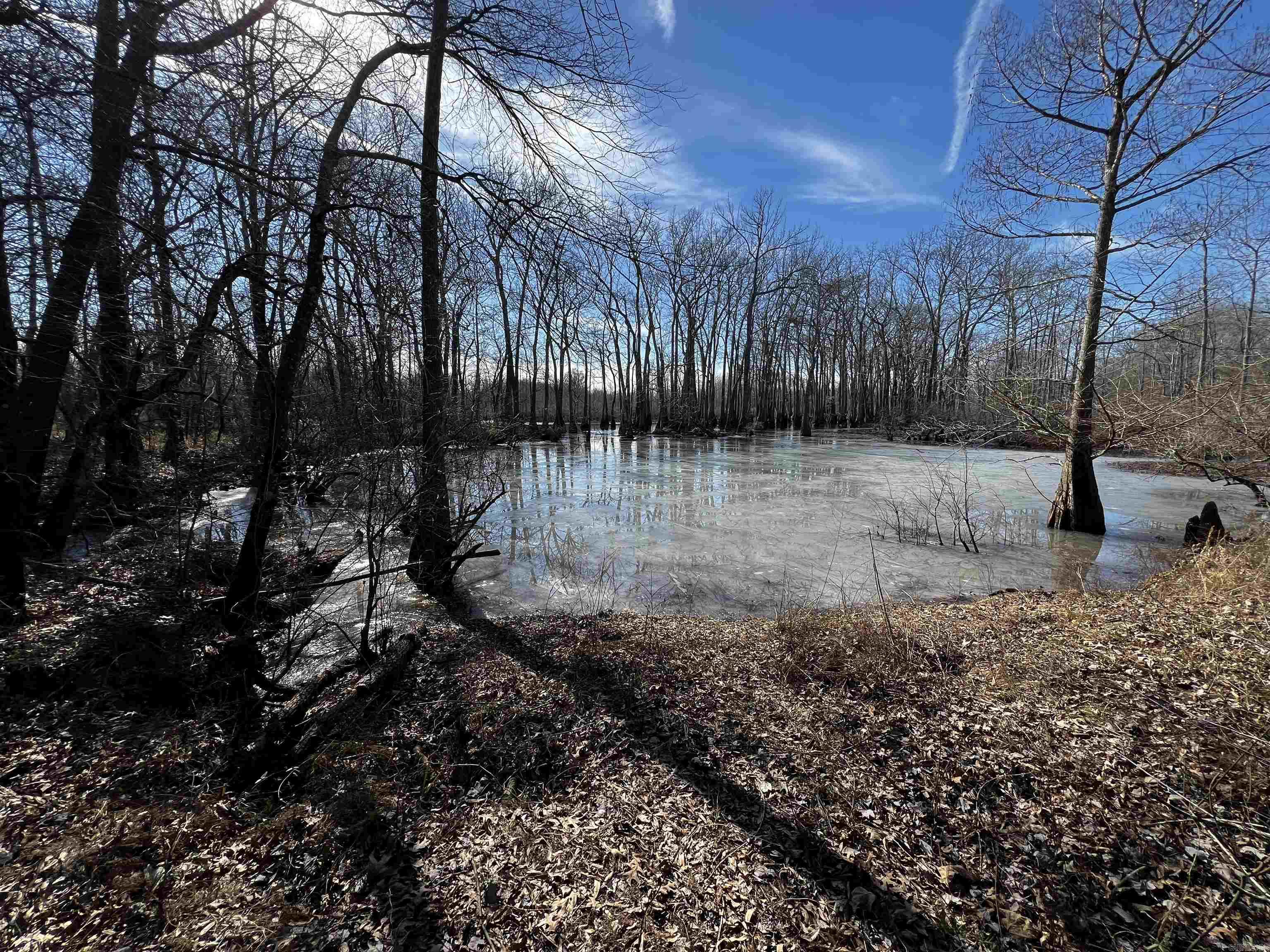 000 Mcclendon Road Property Photo 6