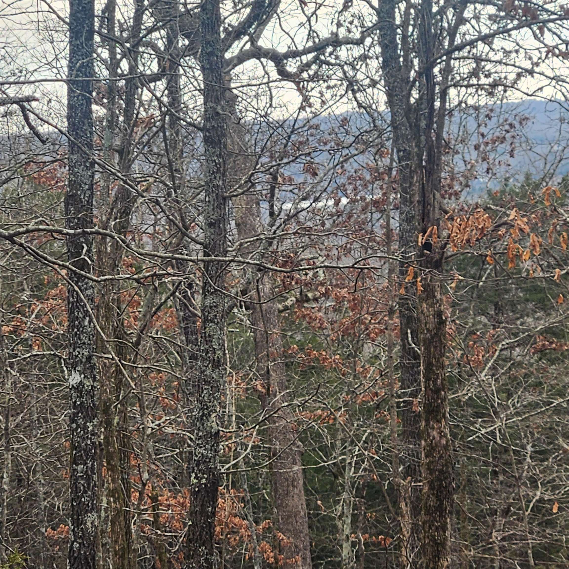 L-8, B-3 Kee Trail Property Photo 1