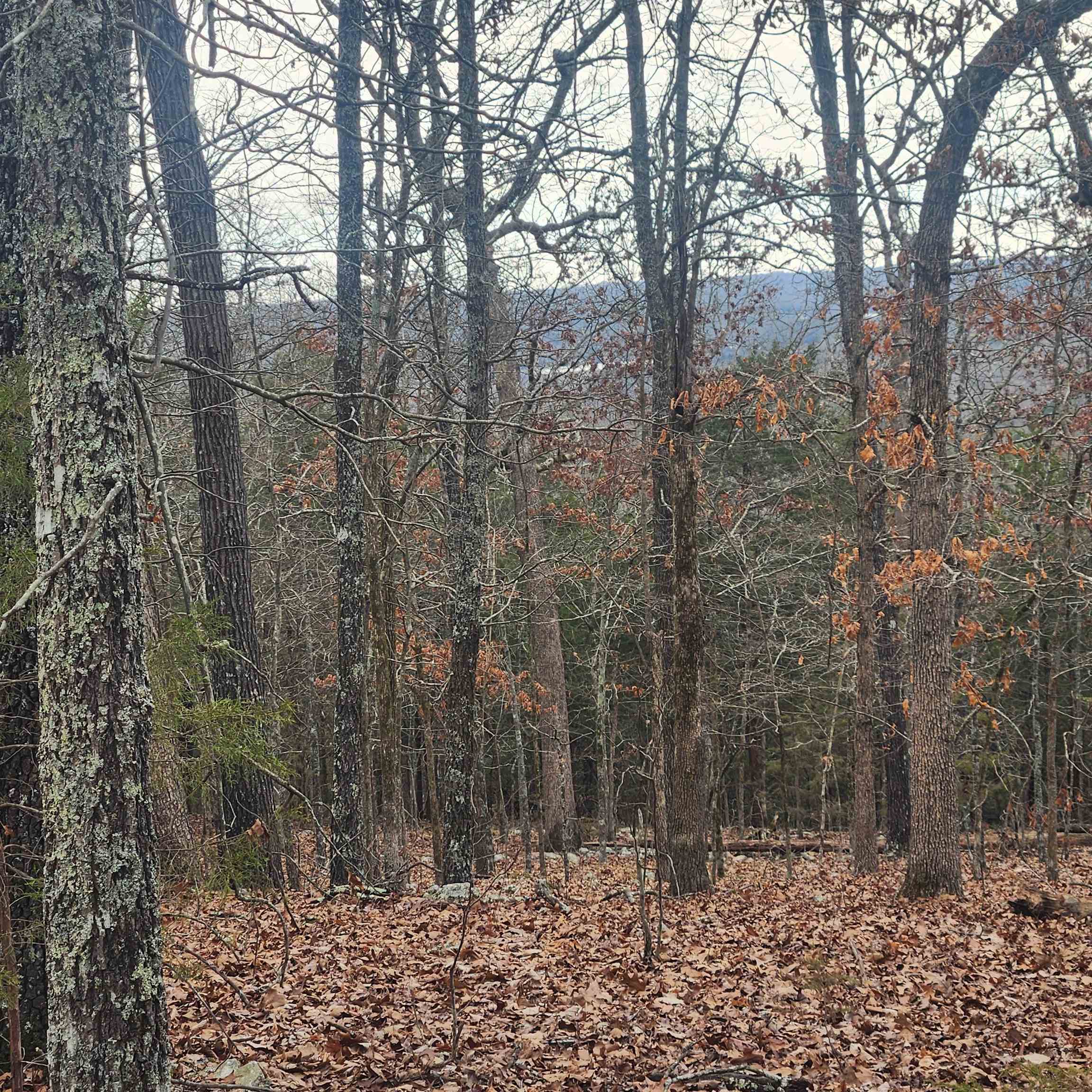 L-8, B-3 Kee Trail Property Photo 2