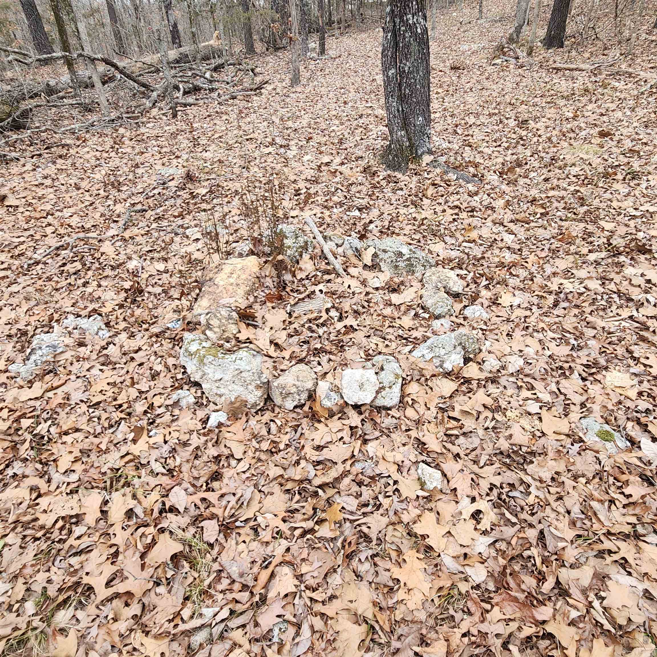 L-8, B-3 Kee Trail Property Photo 4