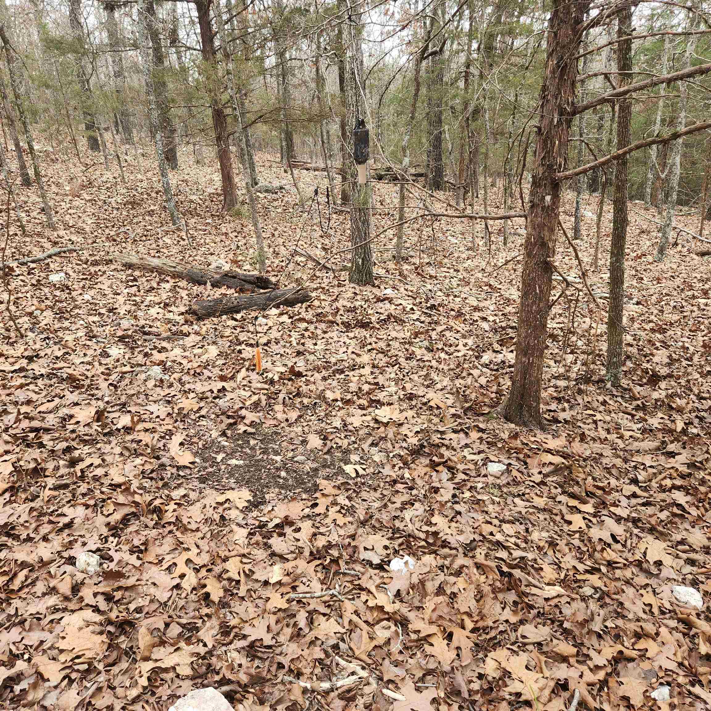 L-8, B-3 Kee Trail Property Photo 5