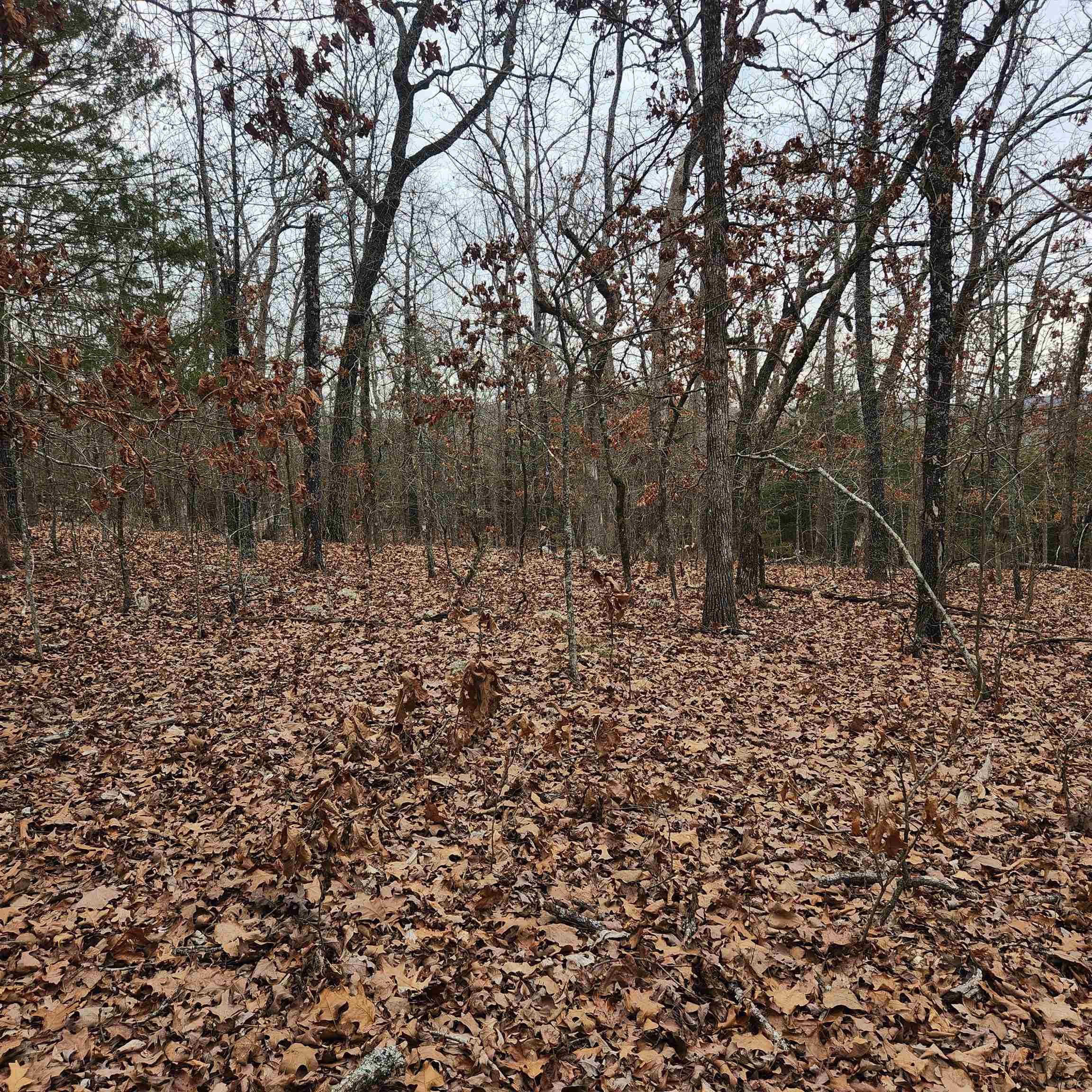 L-8, B-3 Kee Trail Property Photo 8