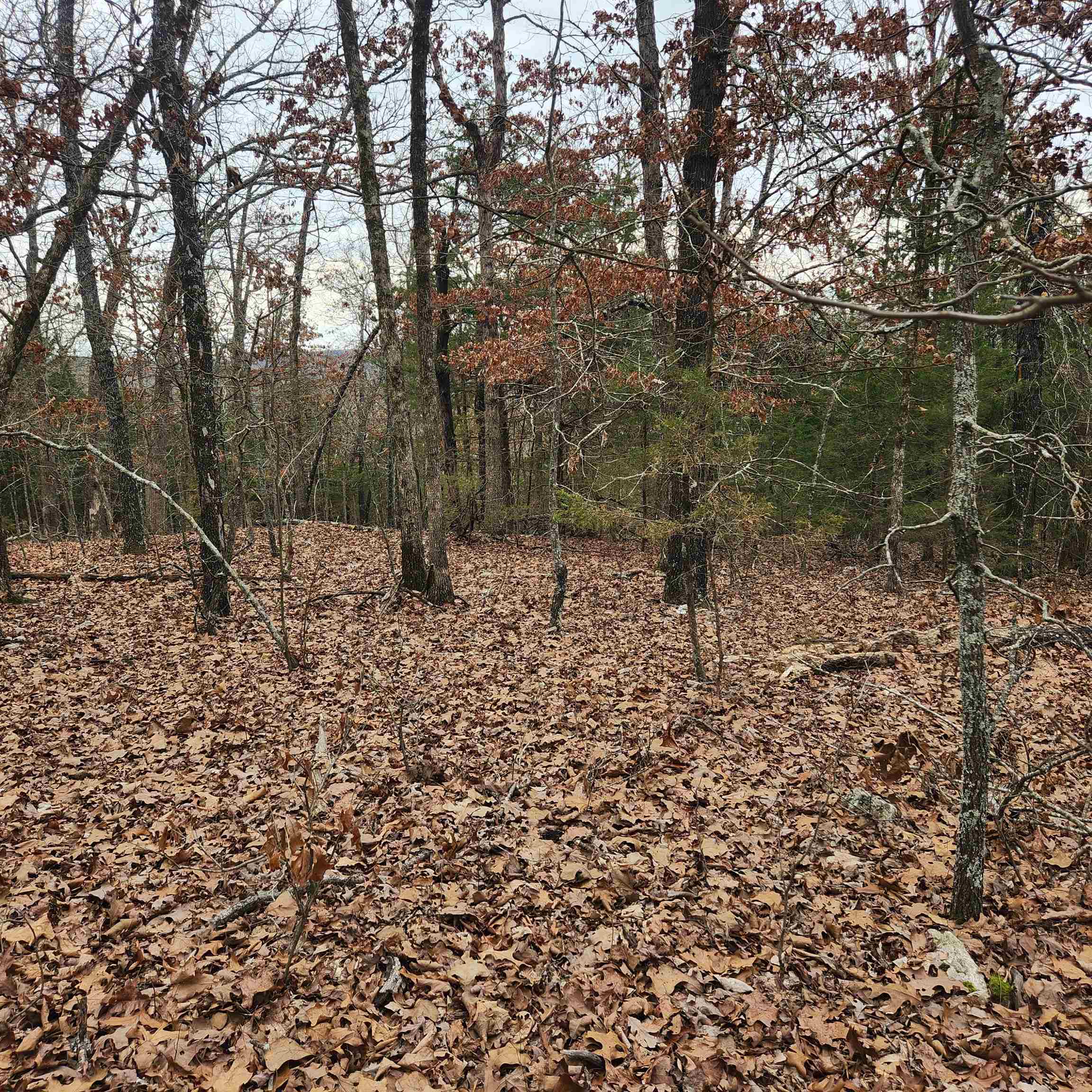L-8, B-3 Kee Trail Property Photo 9