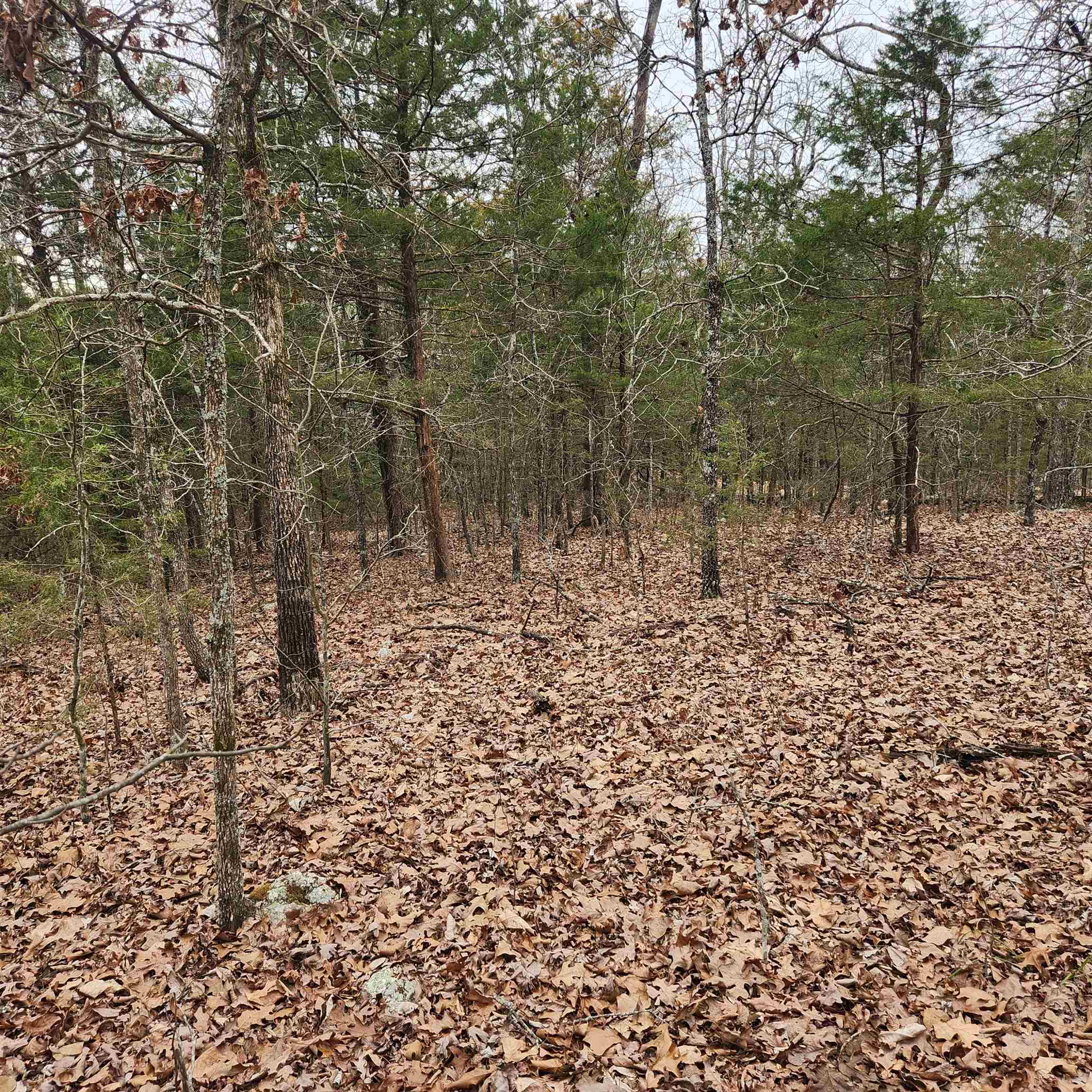 L-8, B-3 Kee Trail Property Photo 10