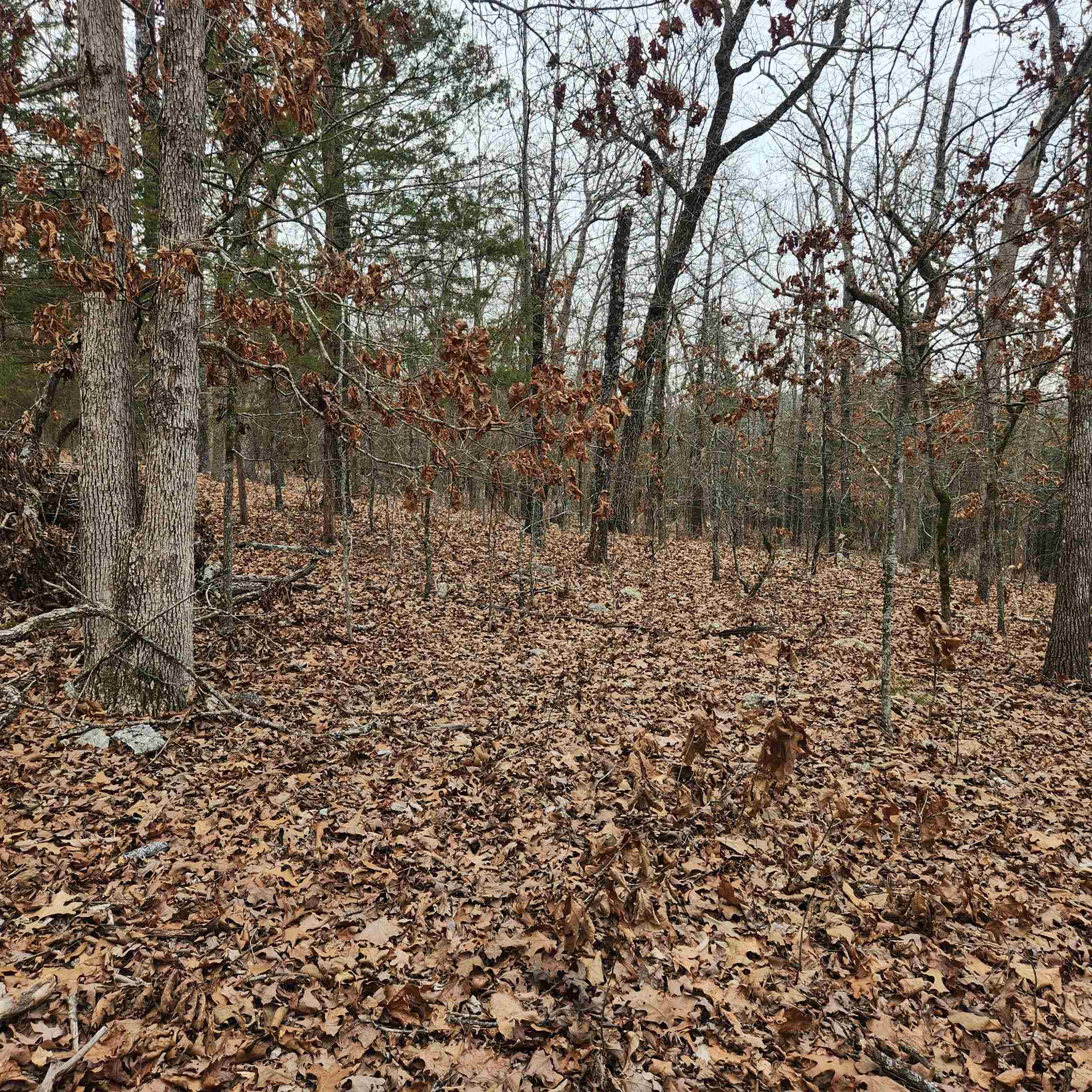 L-8, B-3 Kee Trail Property Photo 11