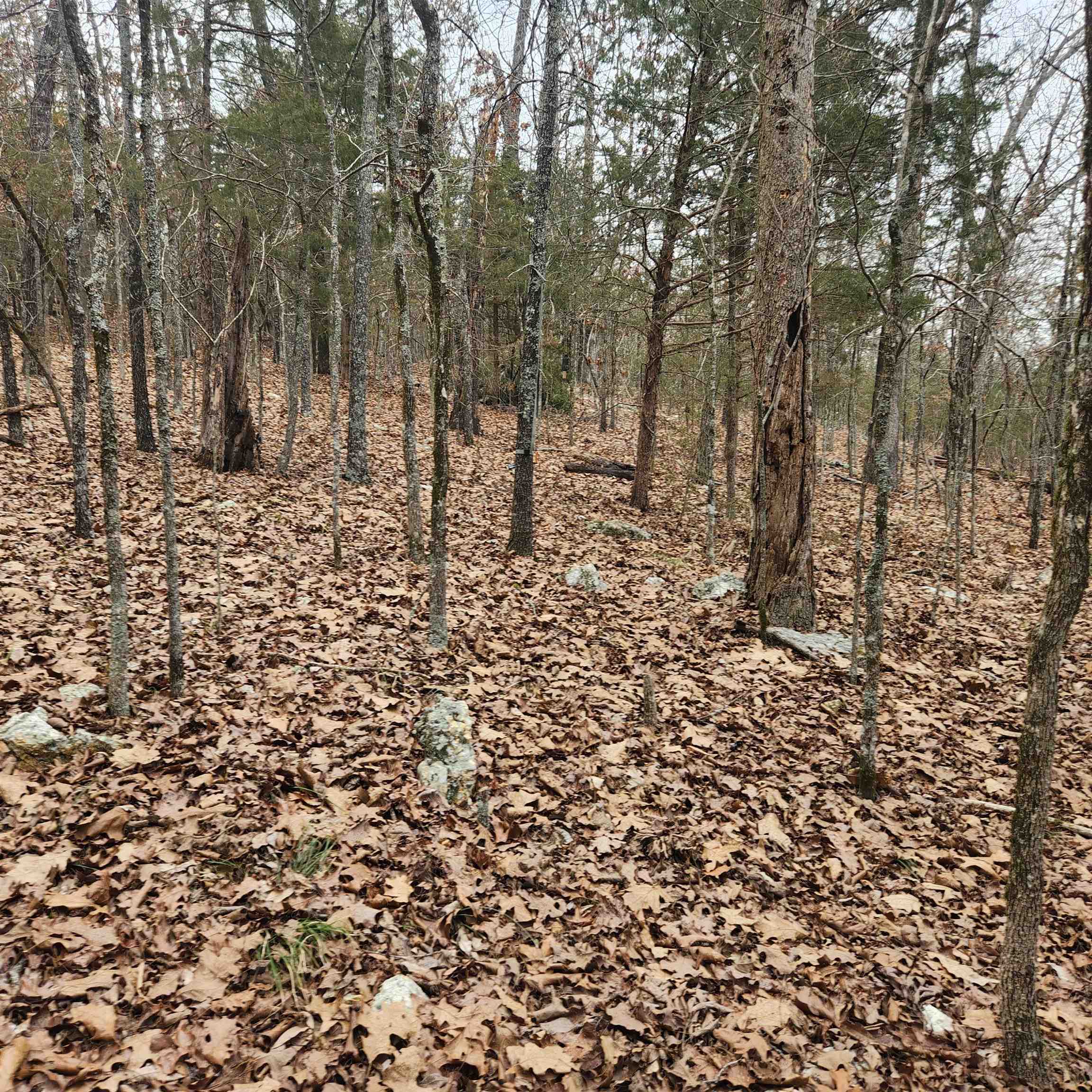 L-8, B-3 Kee Trail Property Photo 12