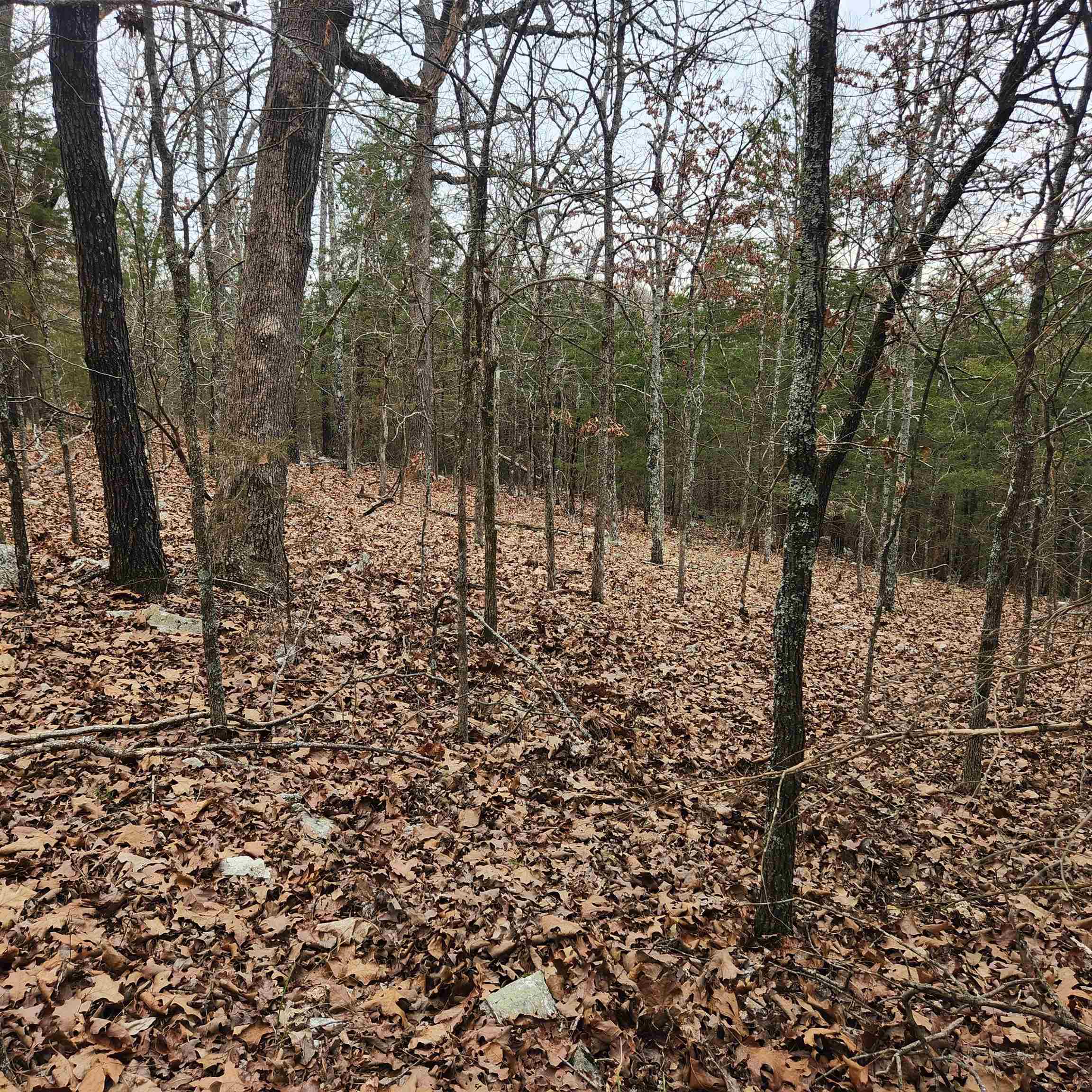 L-8, B-3 Kee Trail Property Photo 13