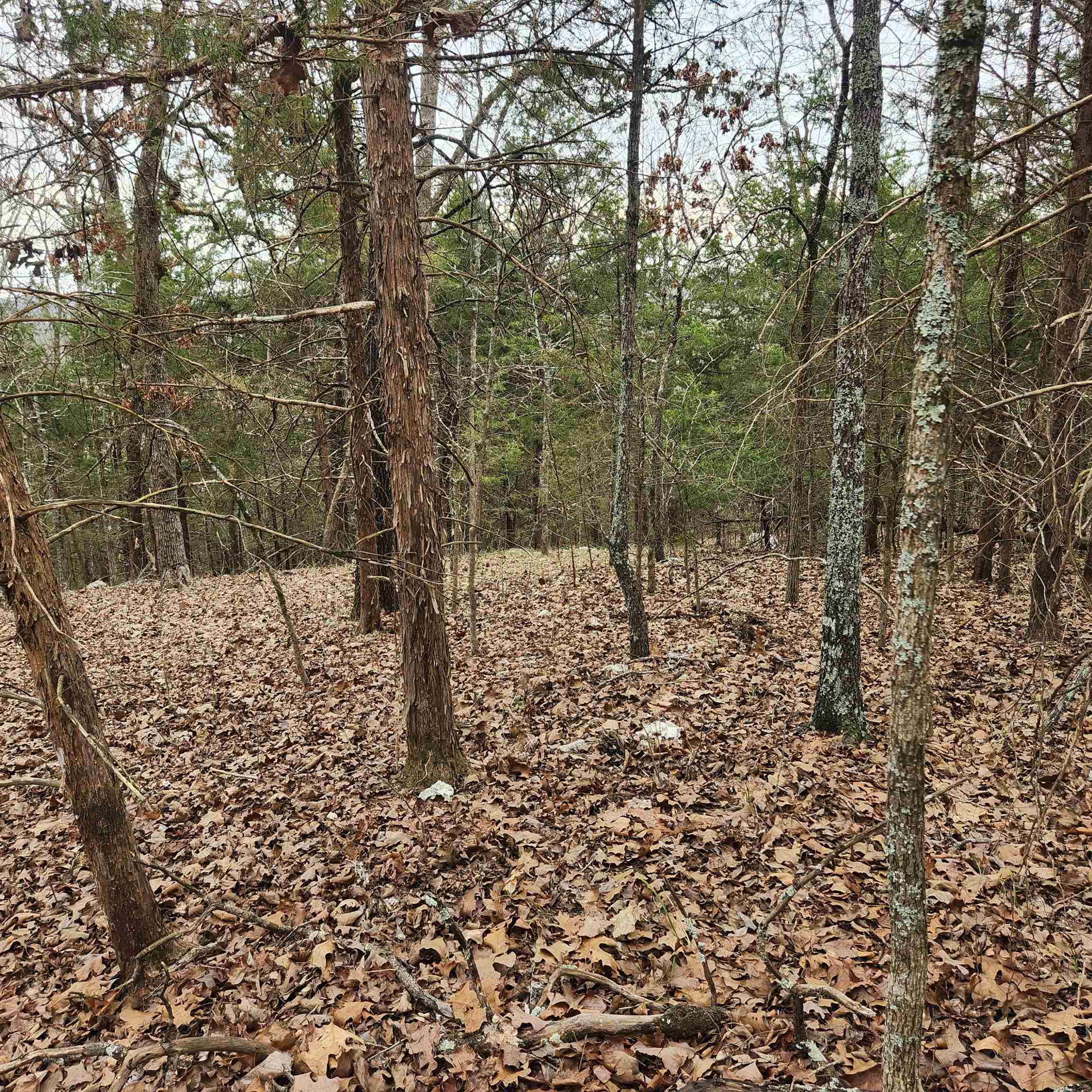 L-8, B-3 Kee Trail Property Photo 14