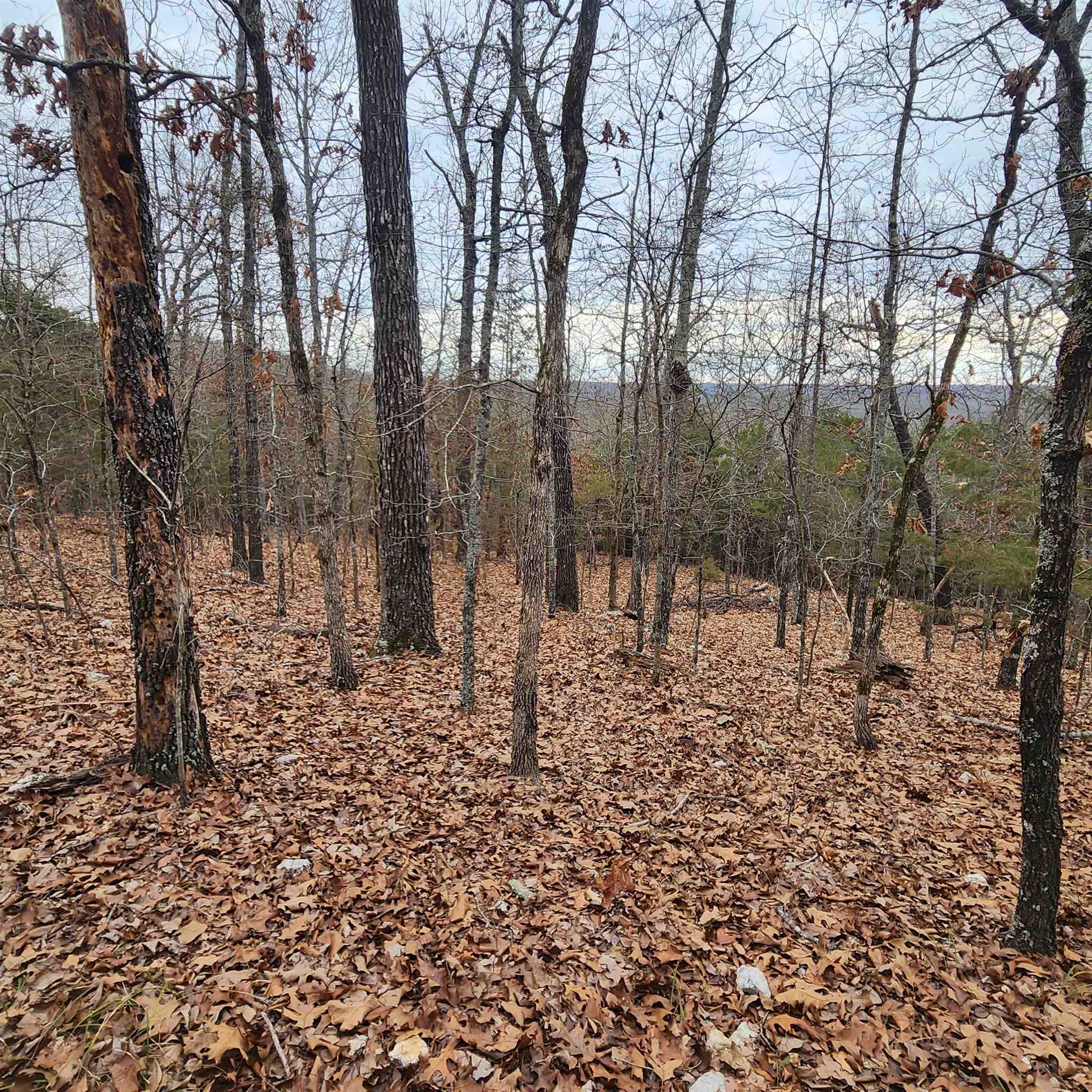 L-8, B-3 Kee Trail Property Photo 16