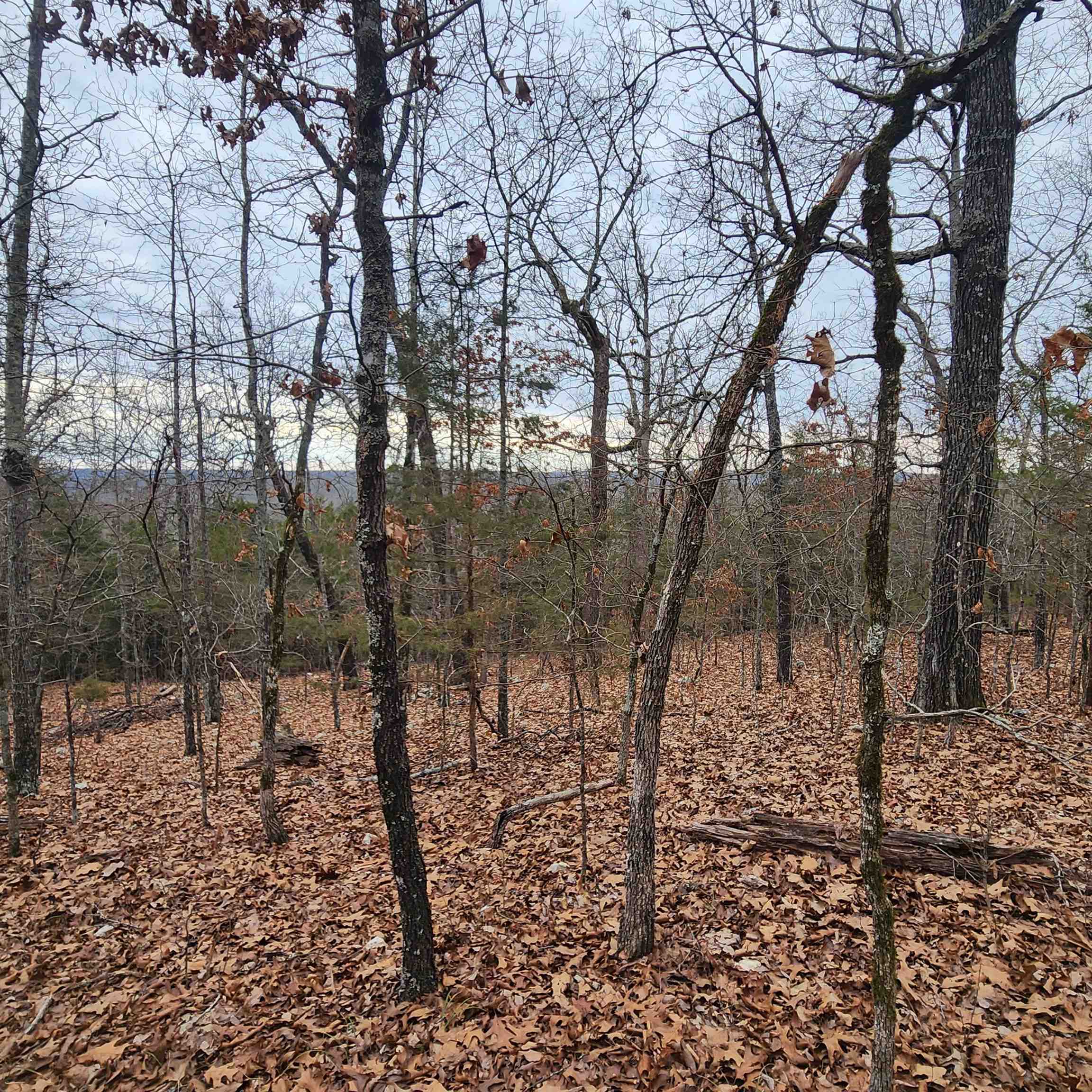 L-8, B-3 Kee Trail Property Photo 17