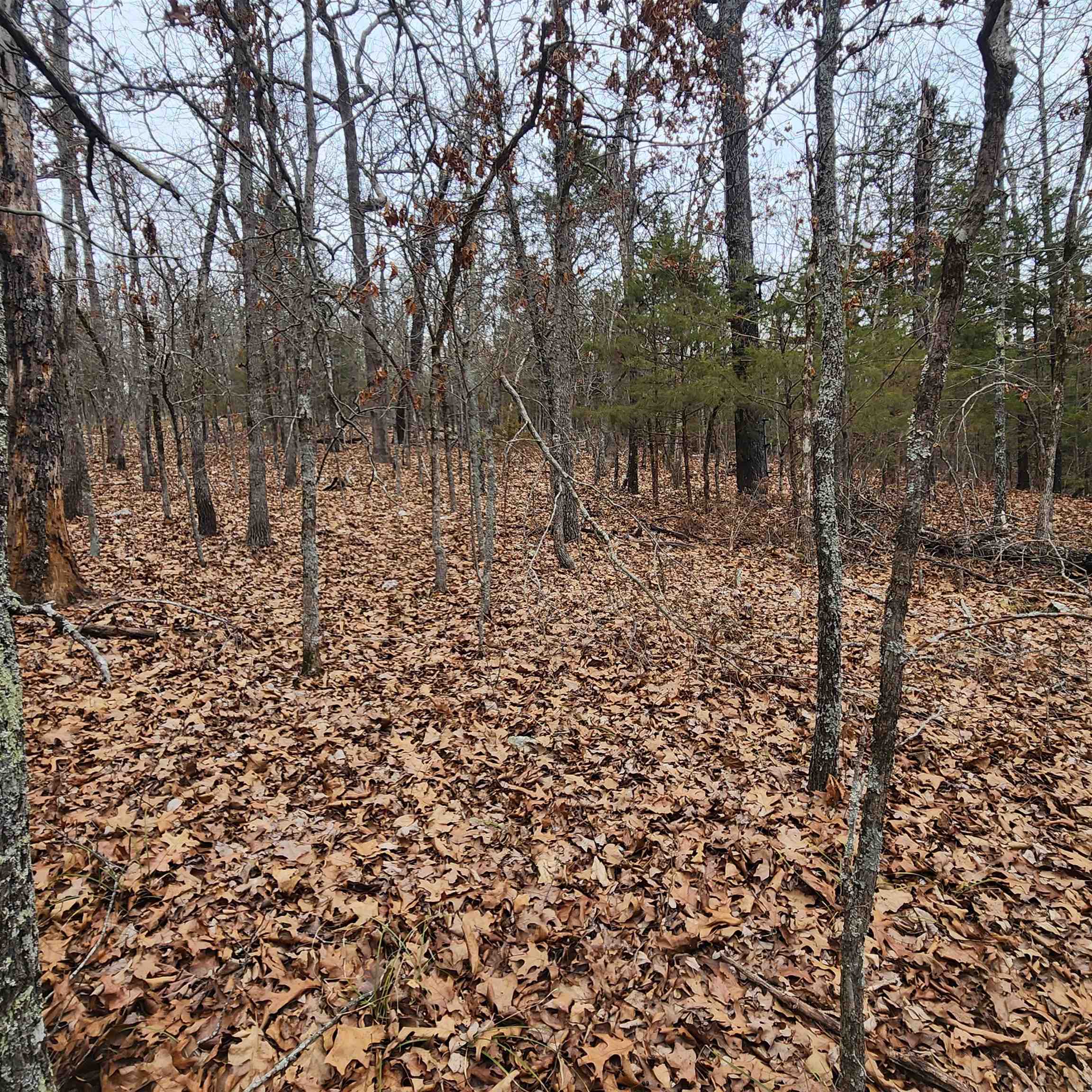 L-8, B-3 Kee Trail Property Photo 18